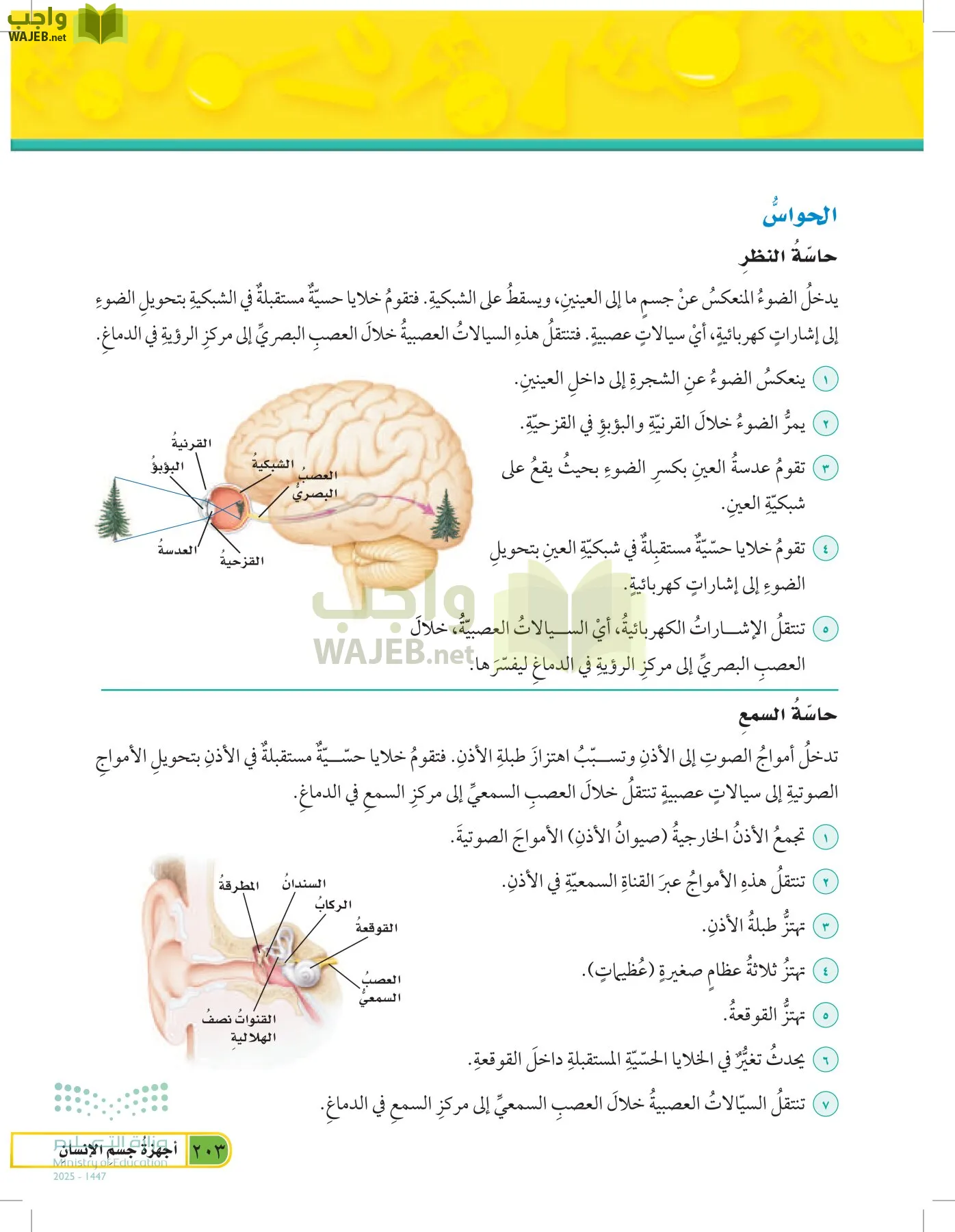 العلوم page-202