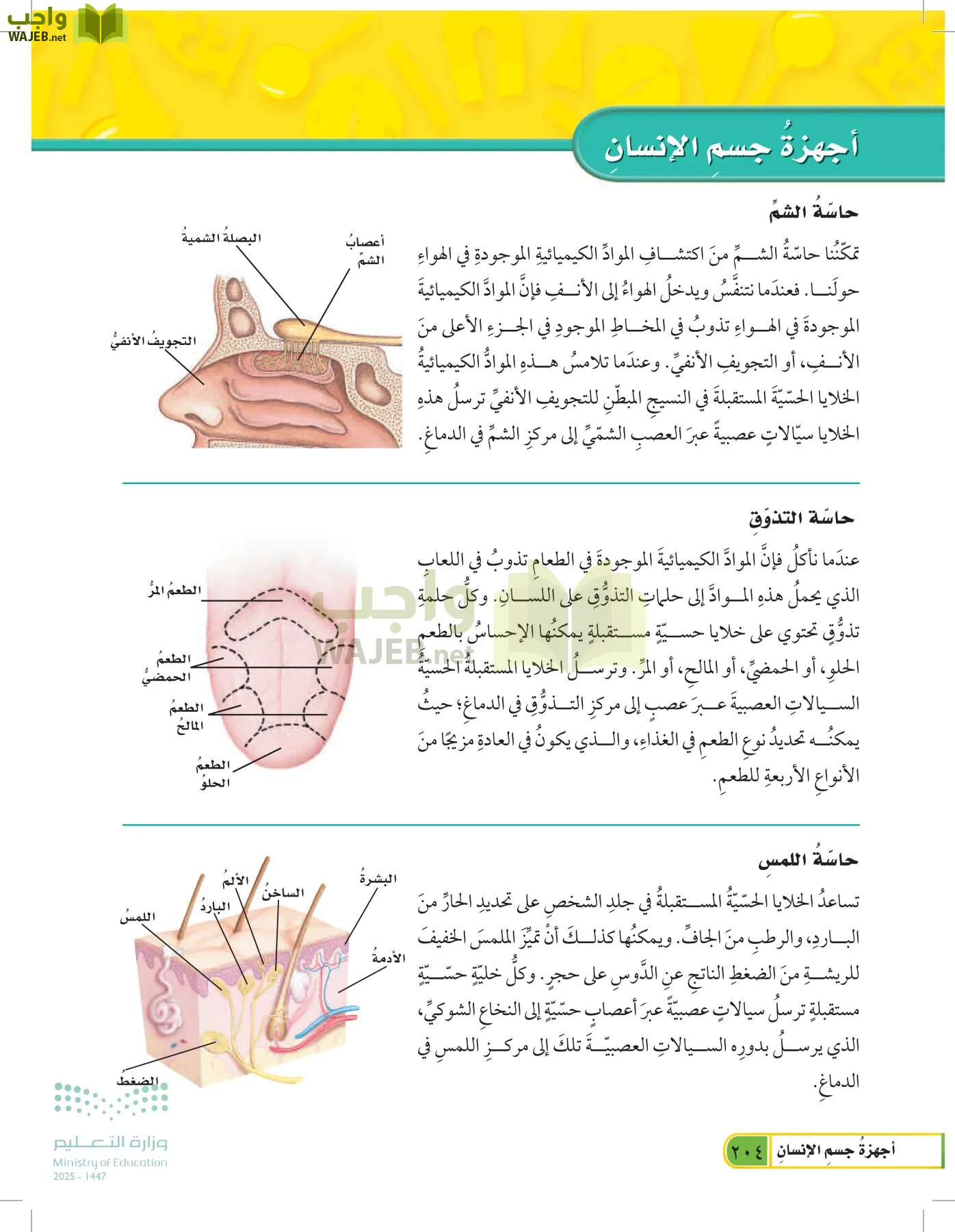 العلوم page-203