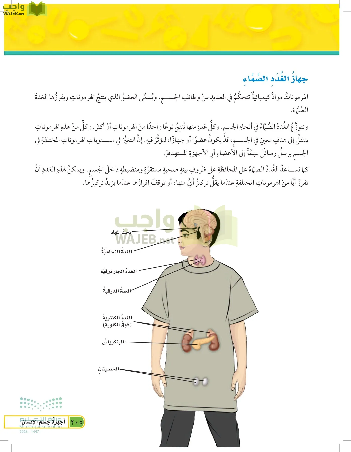 العلوم page-204
