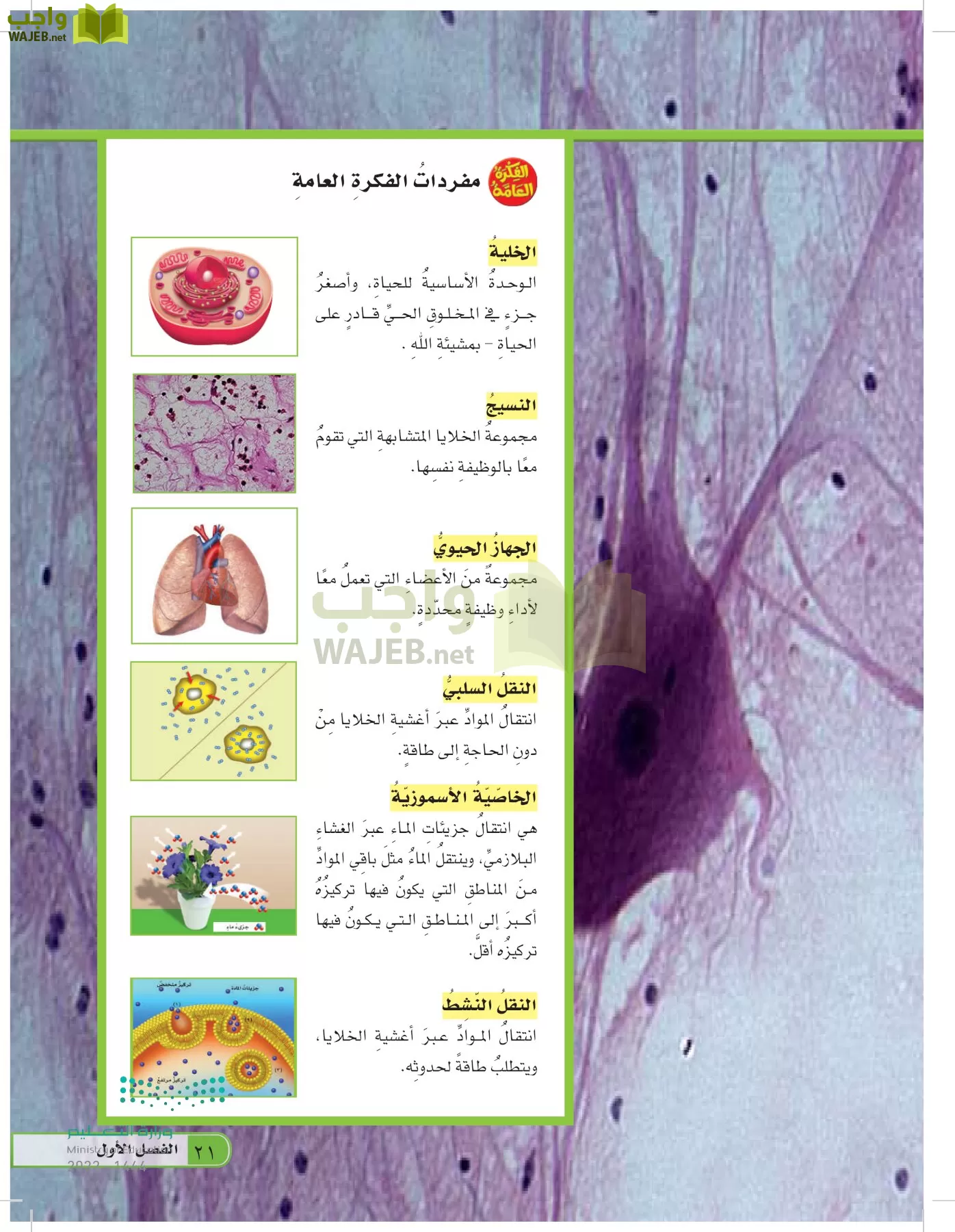 العلوم page-20