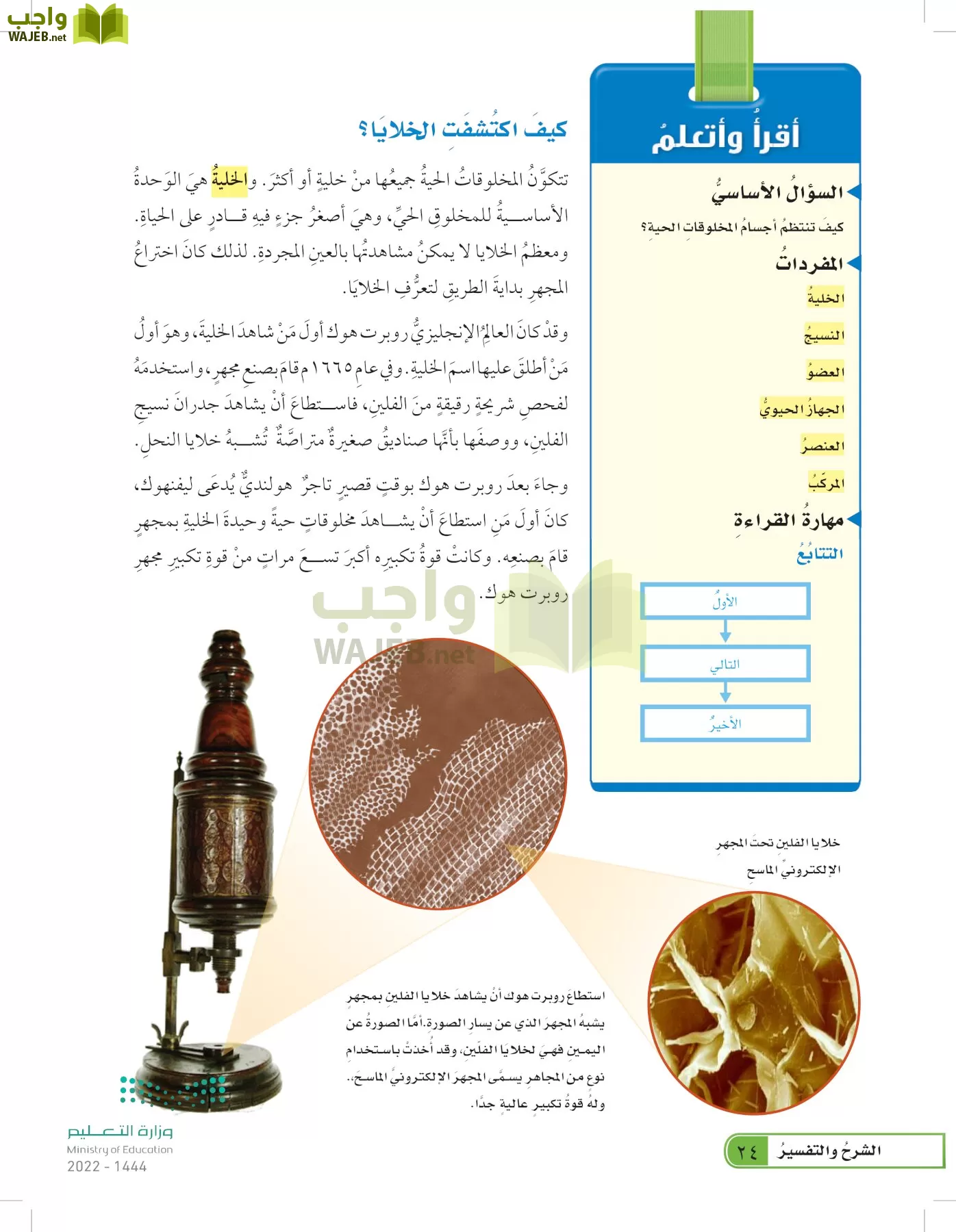 يبين ارسم الخلية زمنيا نظرية خطا تطور حل درس