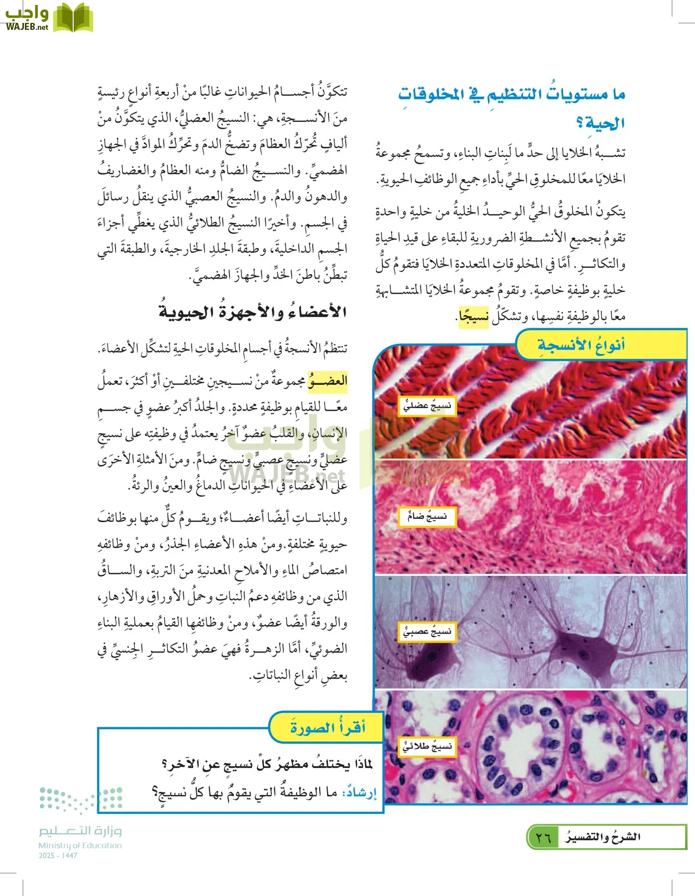 العلوم page-25