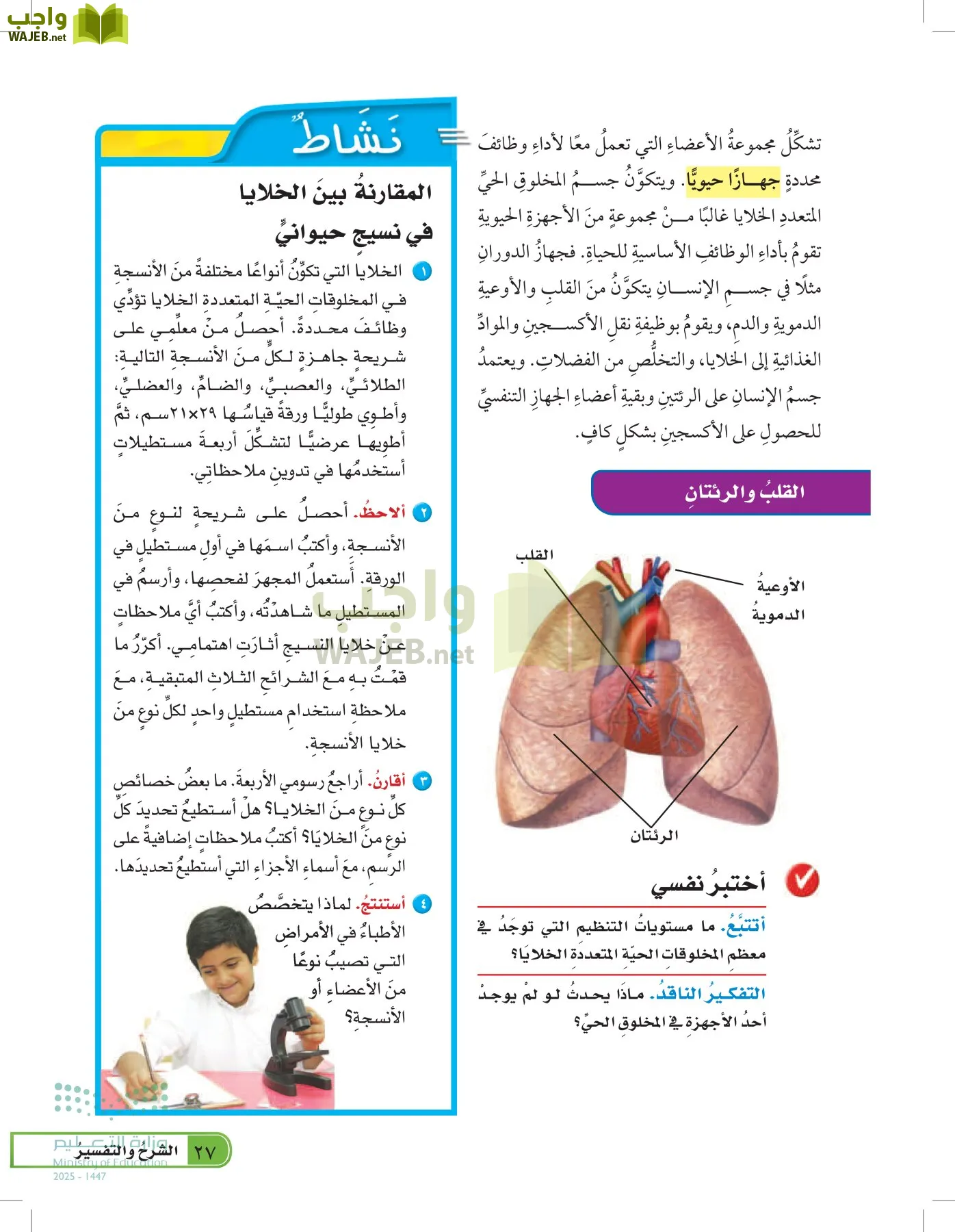 العلوم page-26