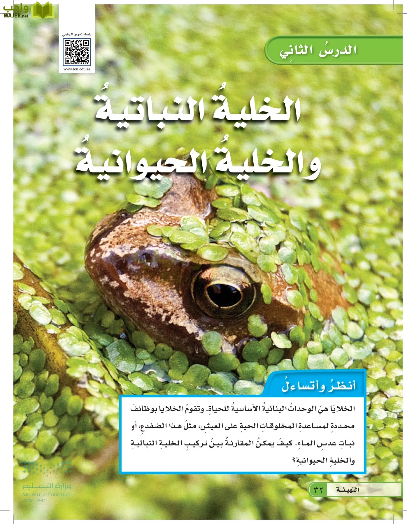 العلوم page-31