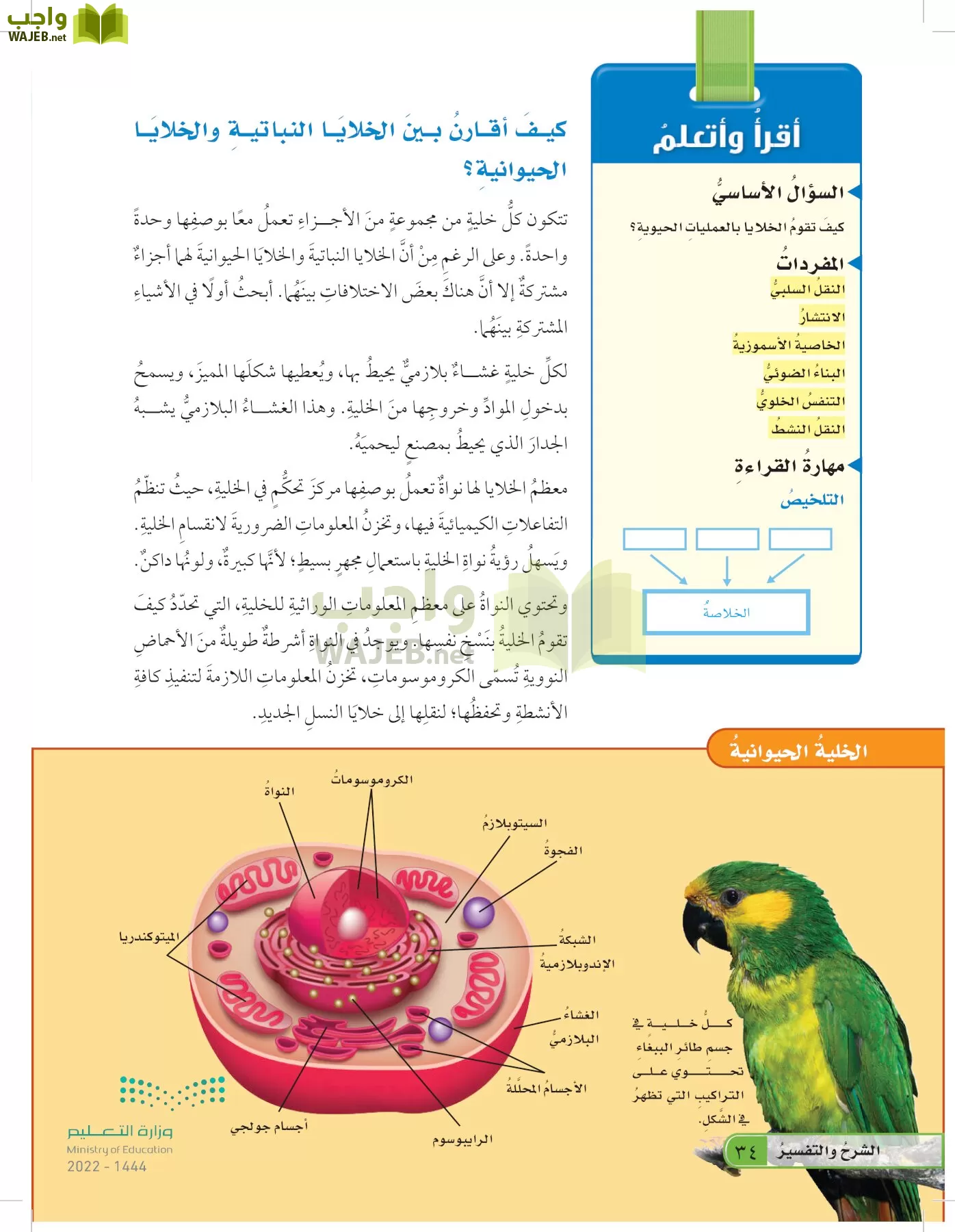 العلوم page-33
