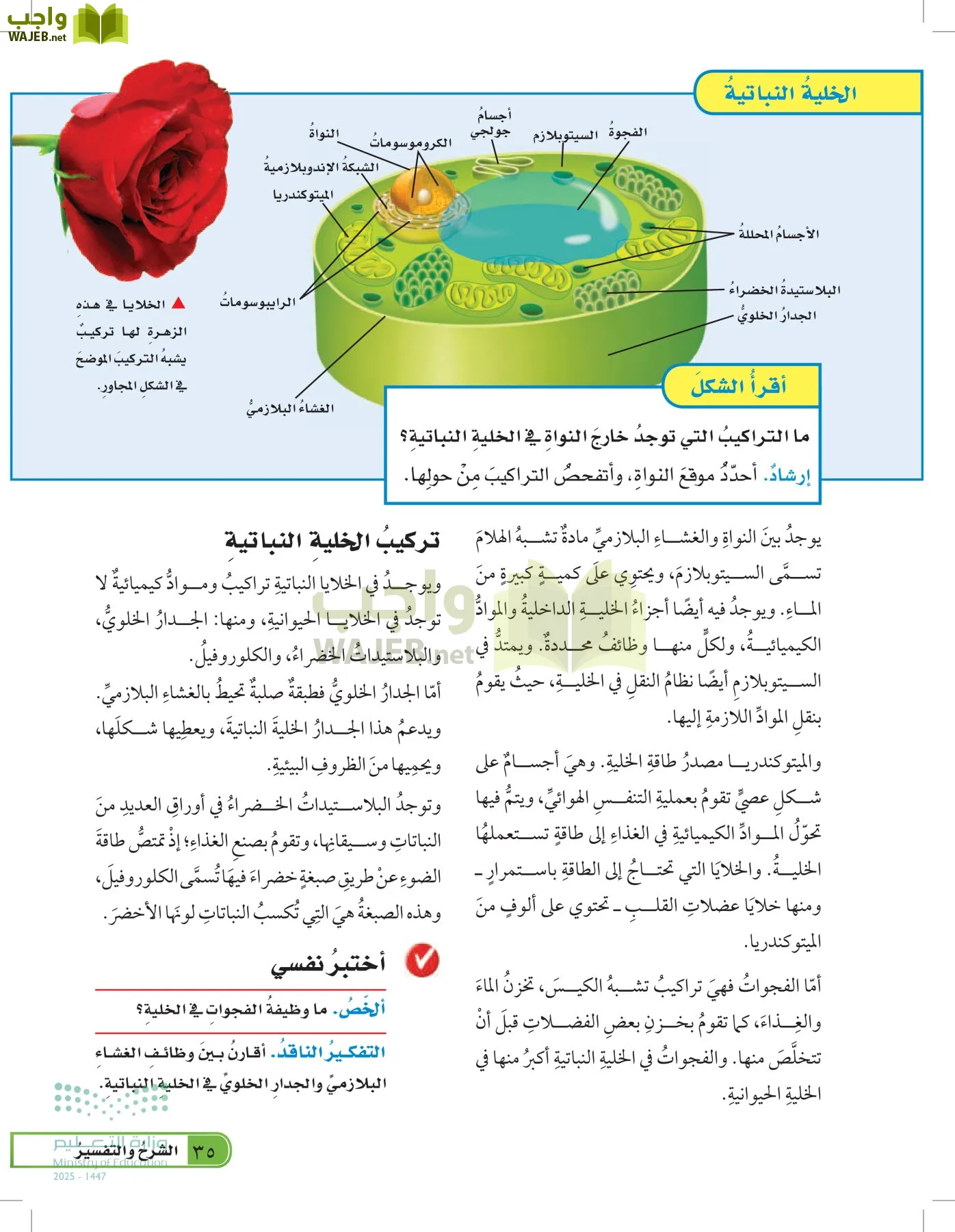 العلوم page-34