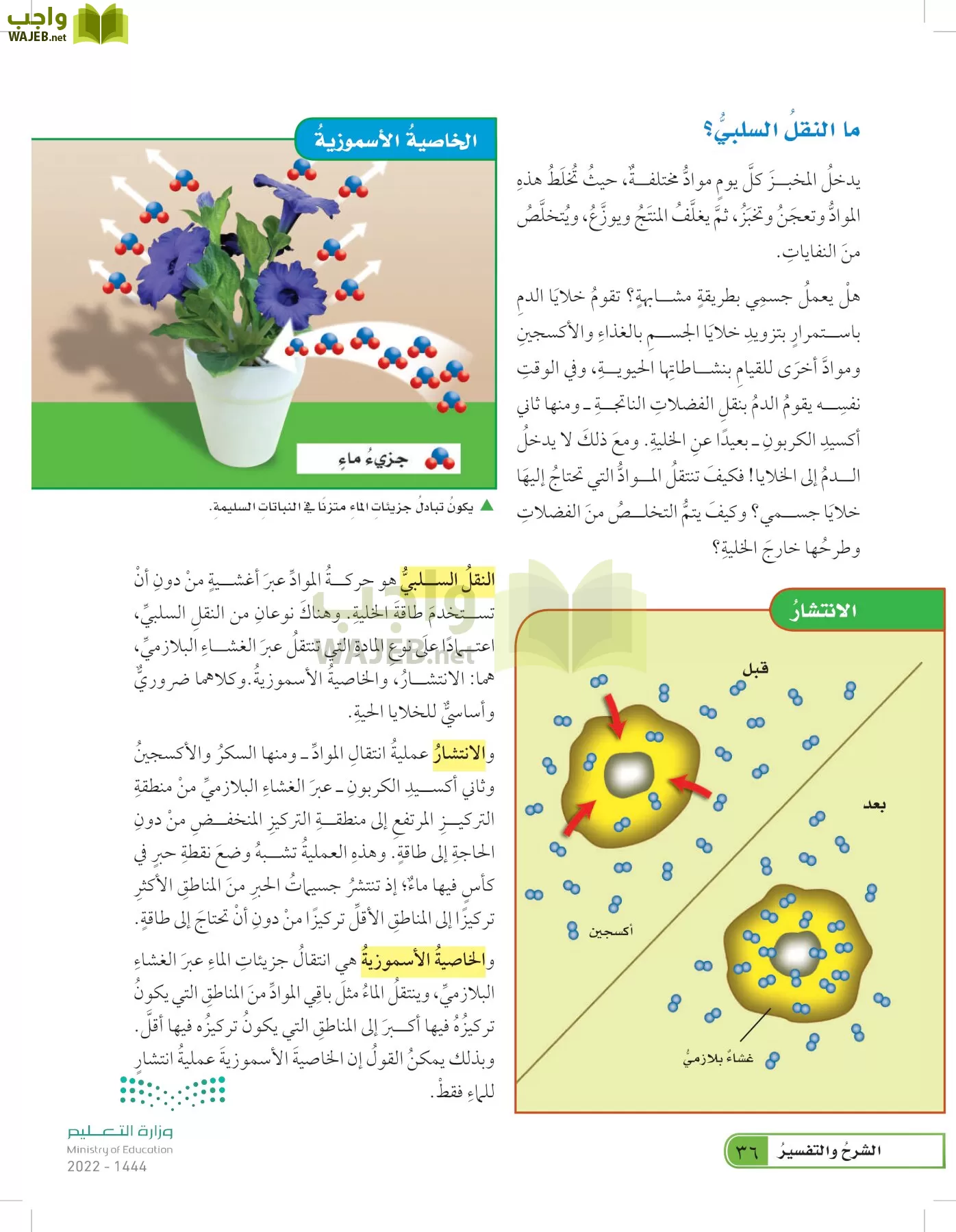 العلوم page-35