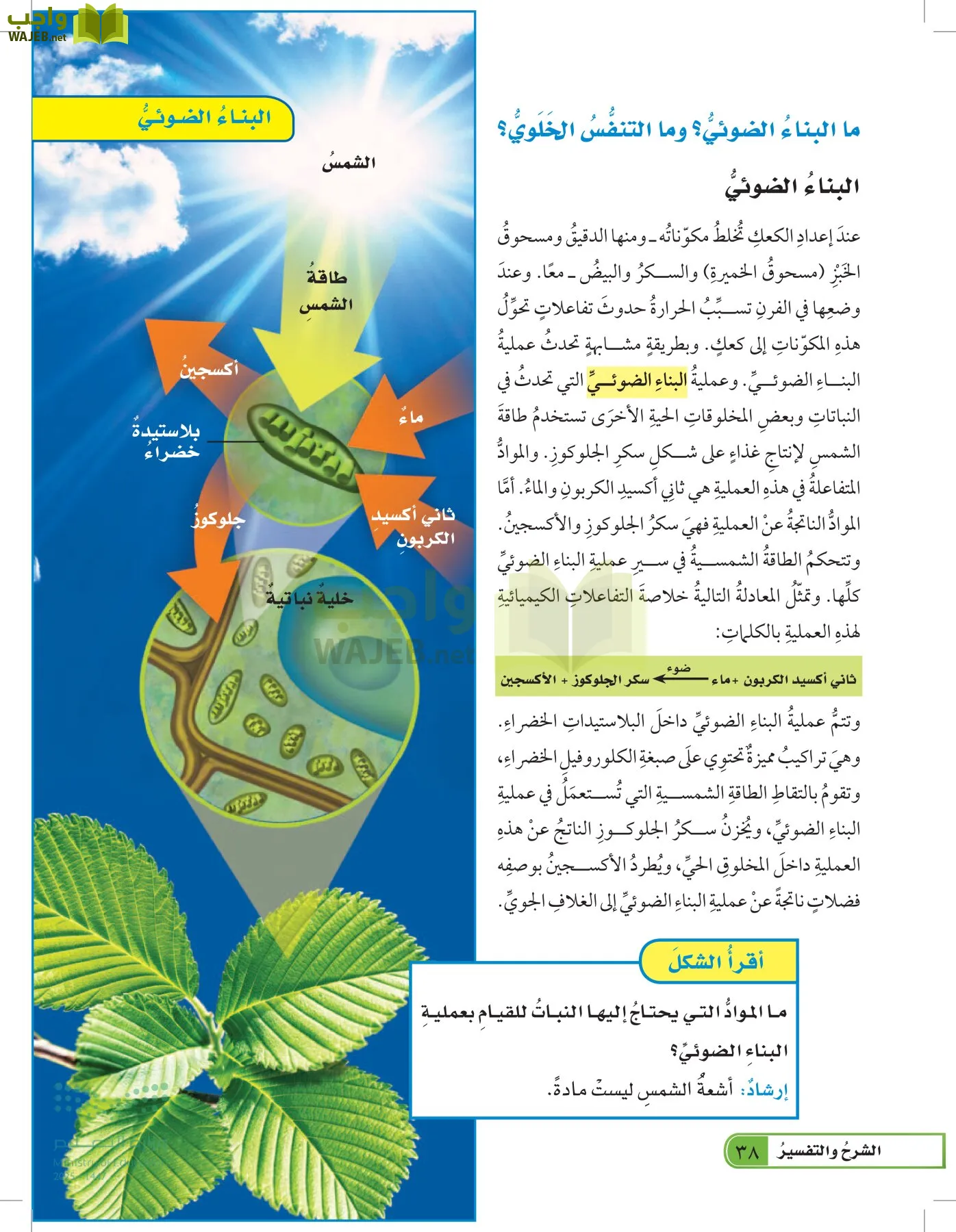 العلوم page-37