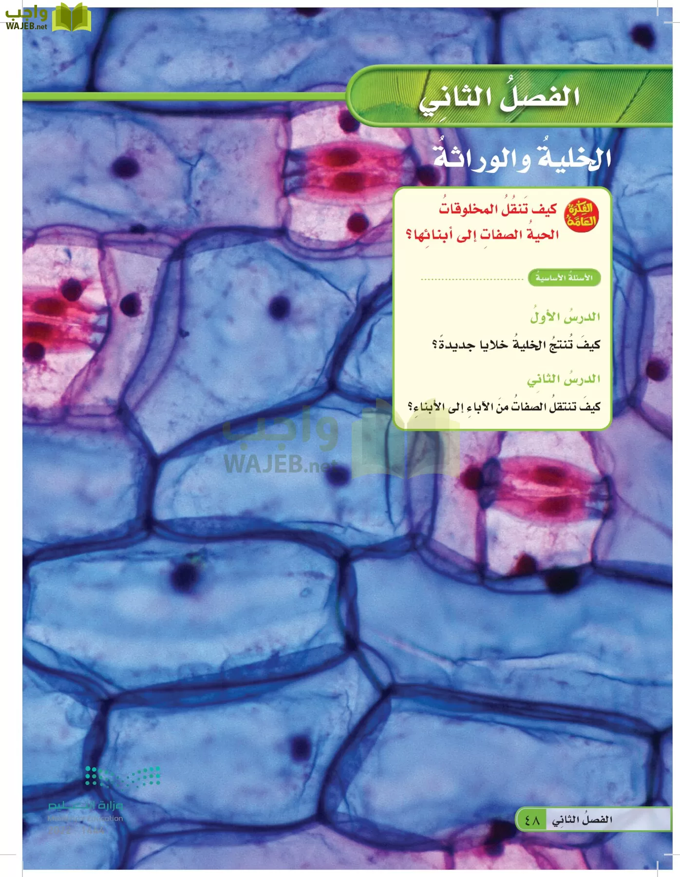 العلوم page-47