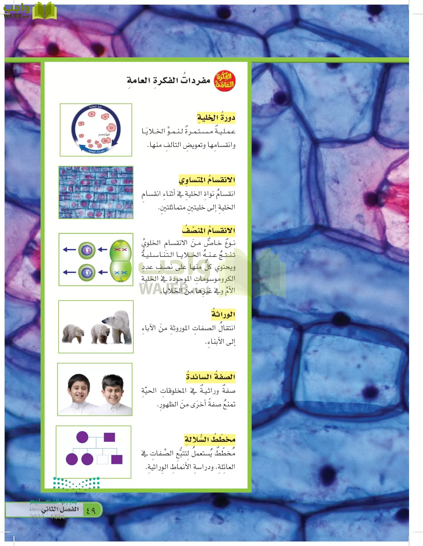 العلوم page-48