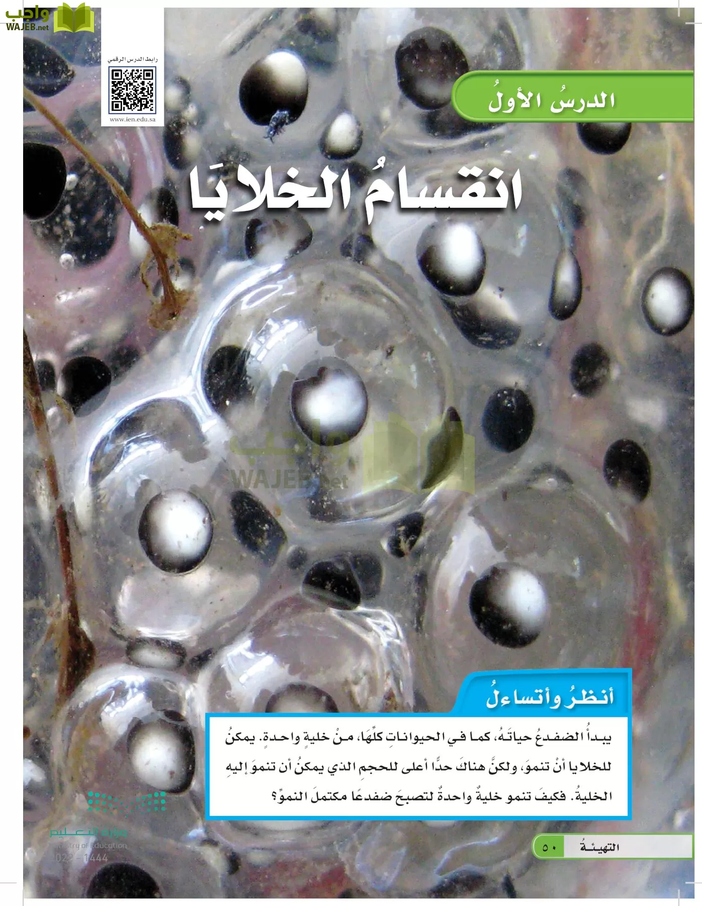 العلوم page-49