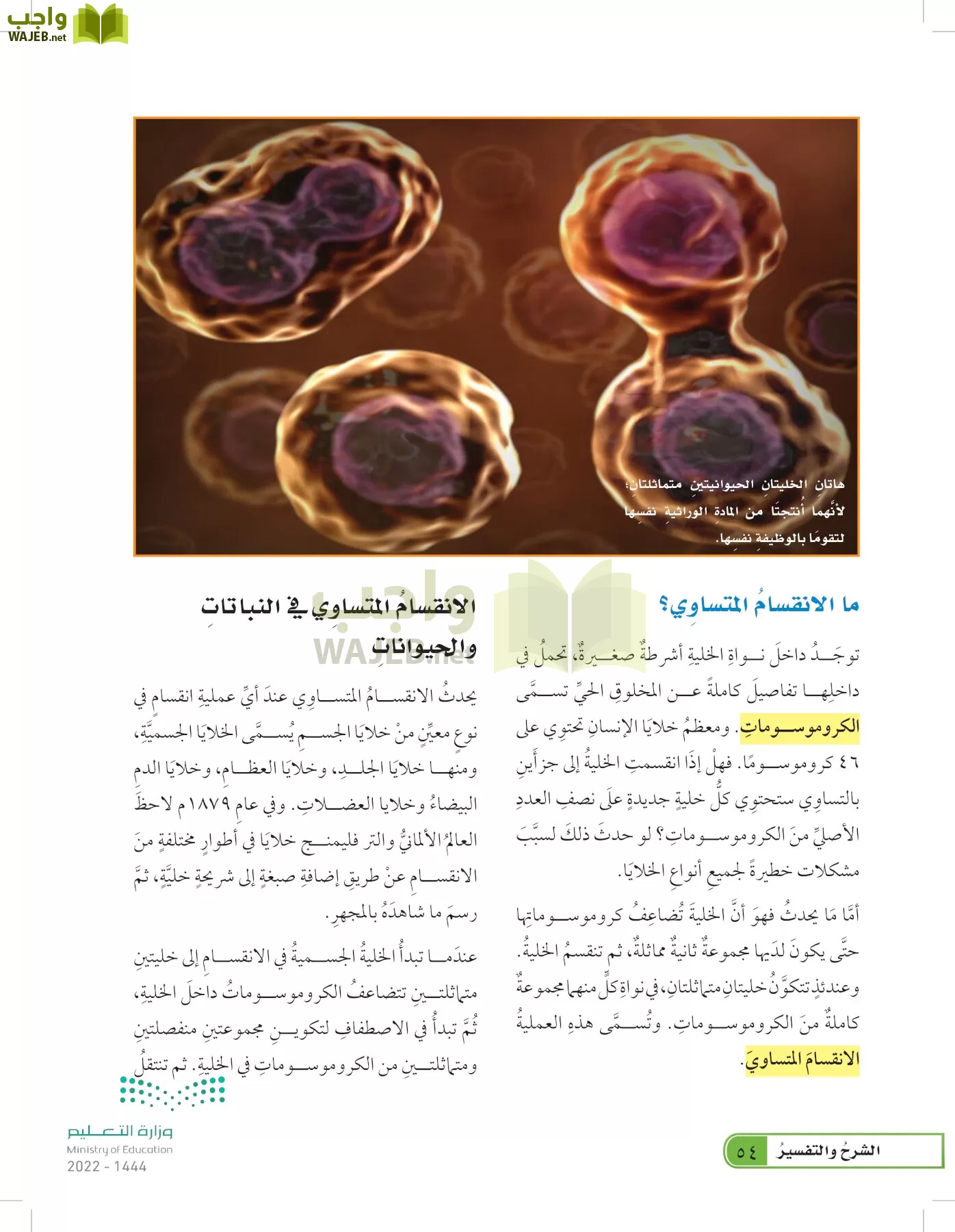 العلوم page-53