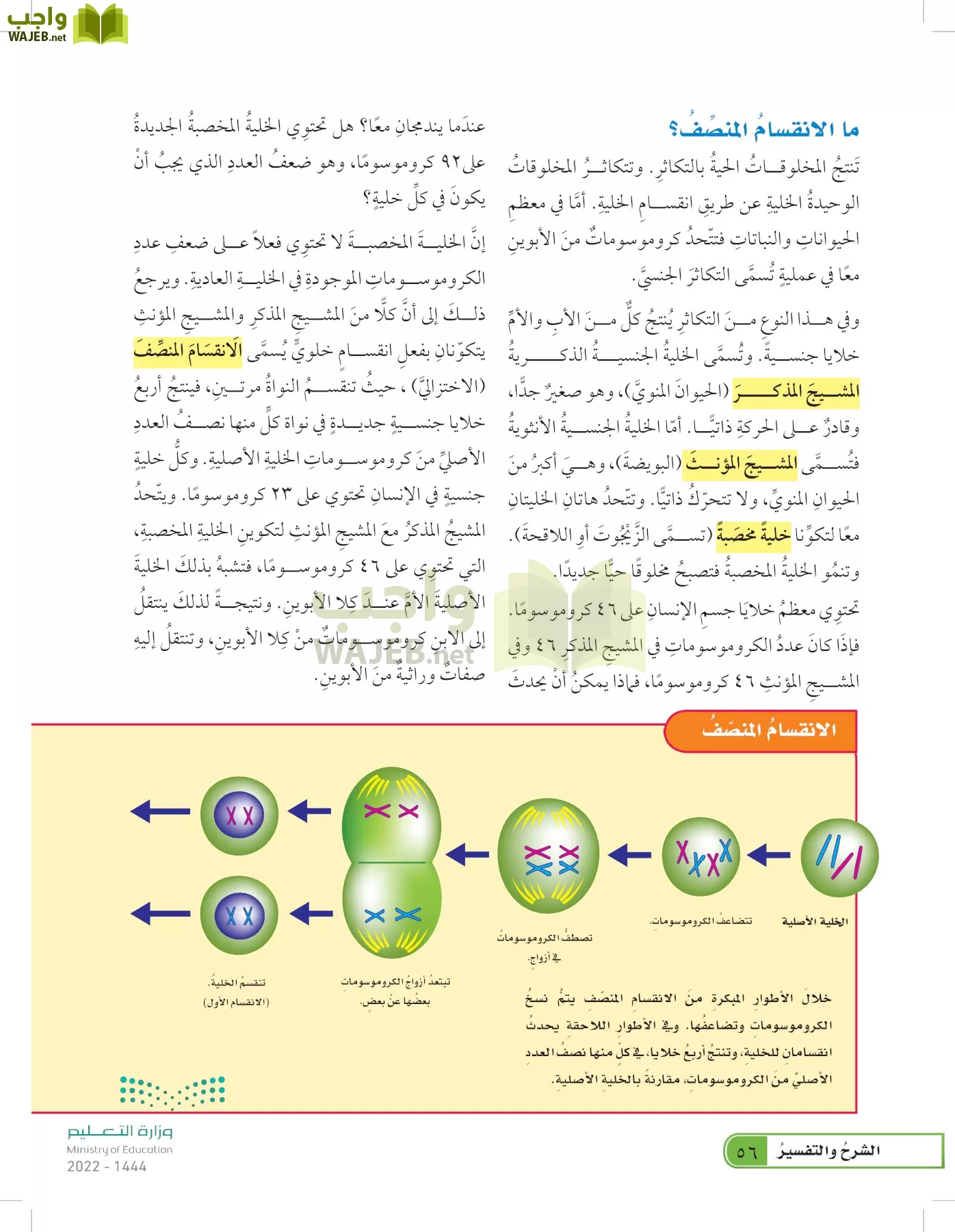 العلوم page-55