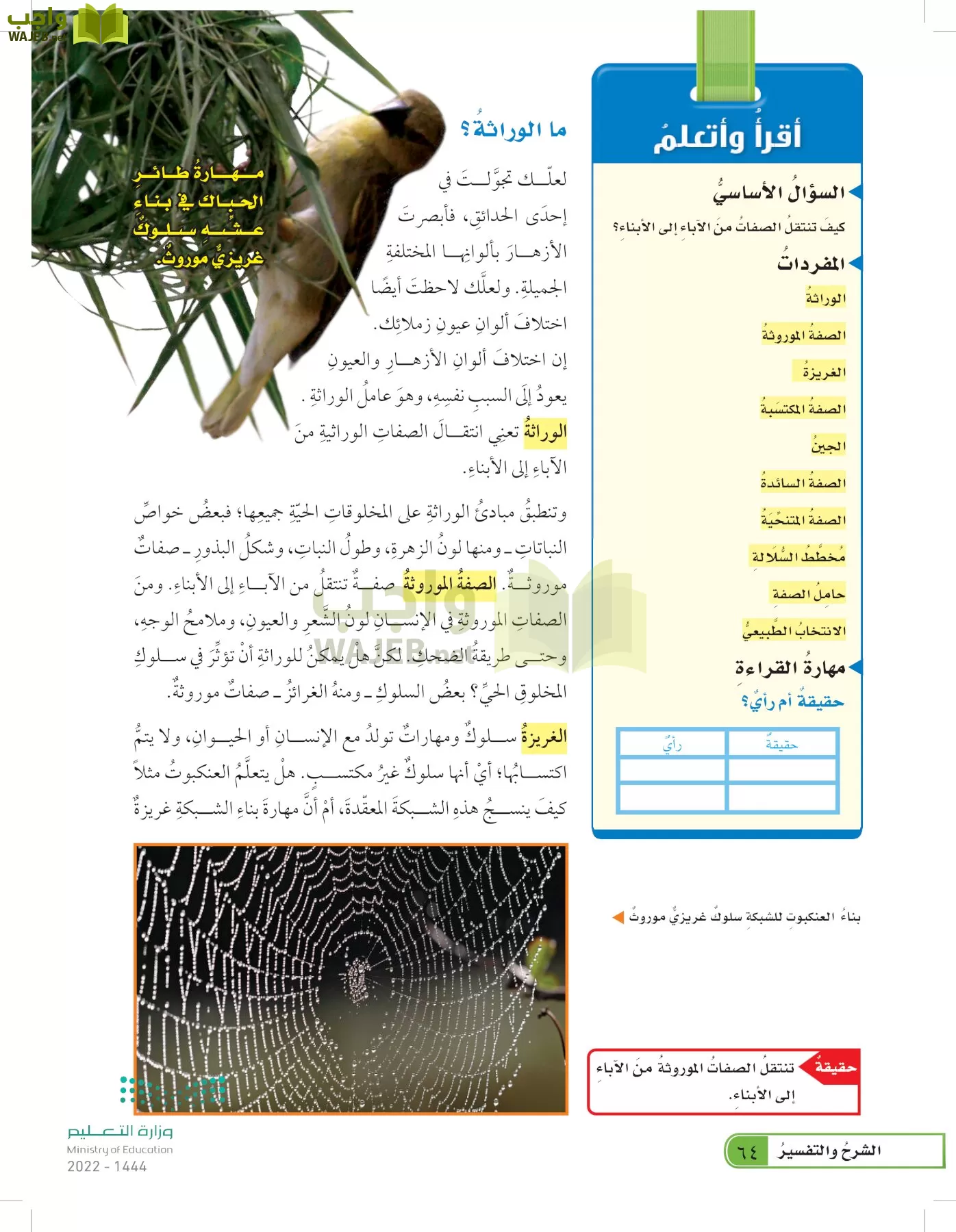 العلوم page-63