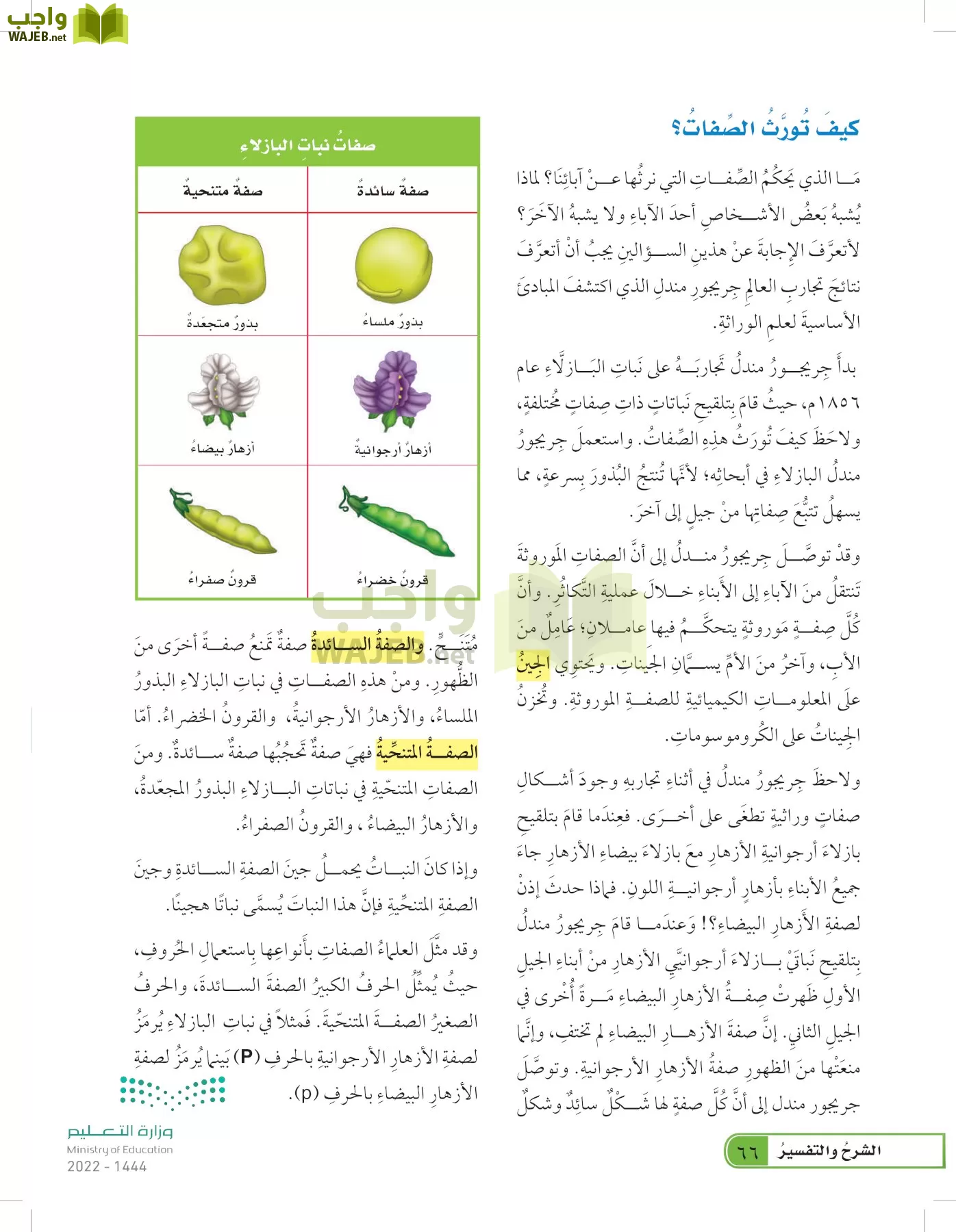 العلوم page-65