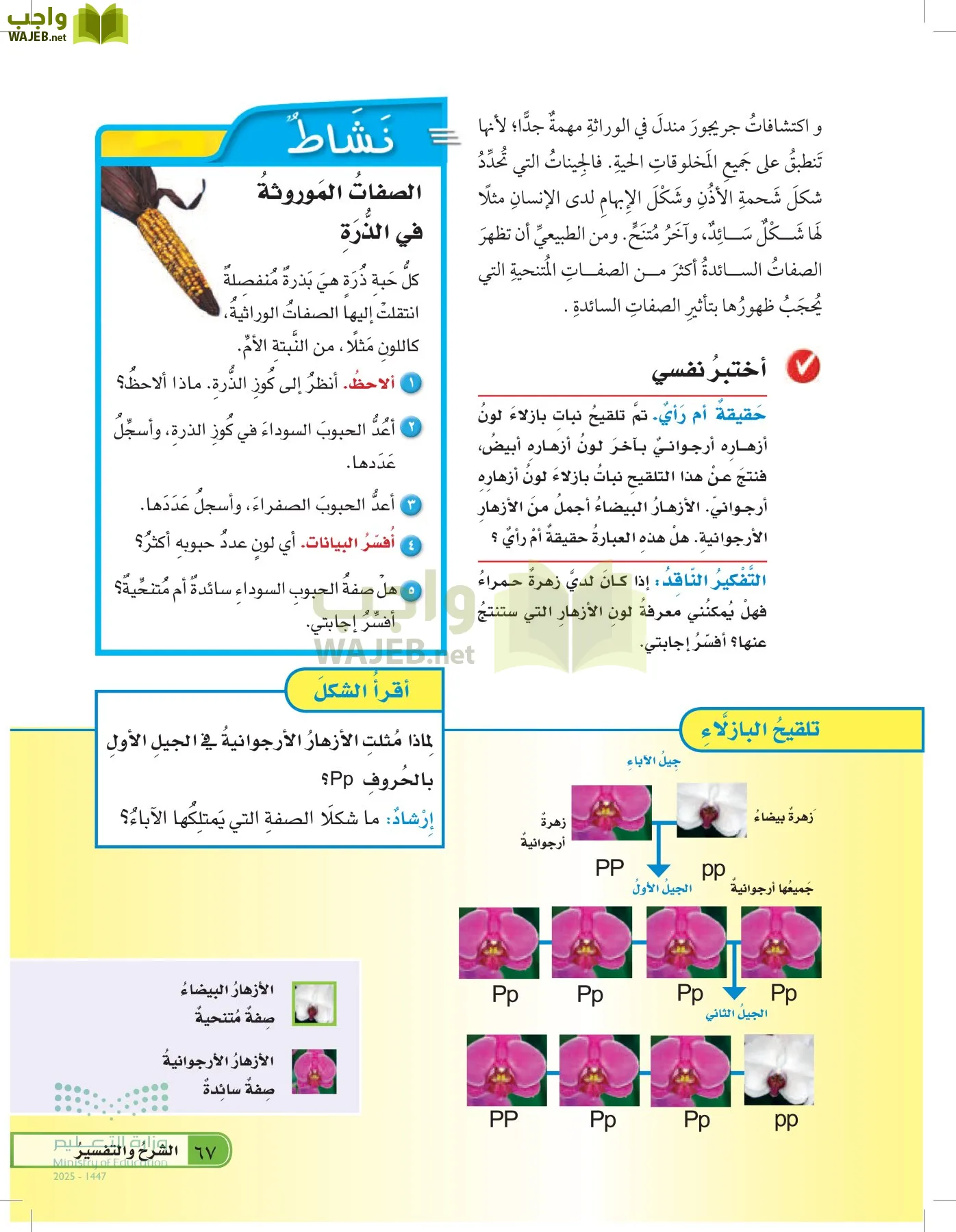 العلوم page-66