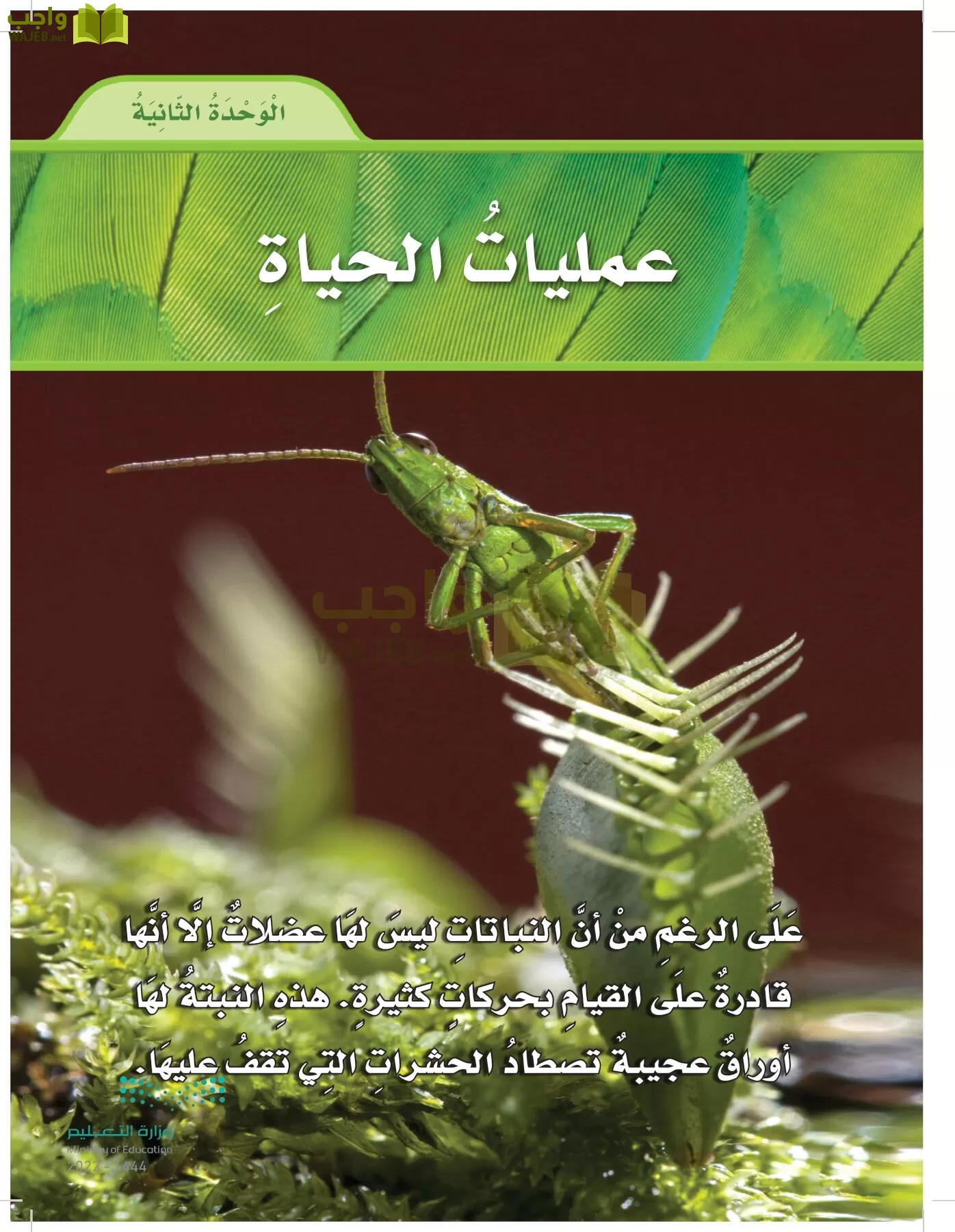 العلوم page-74