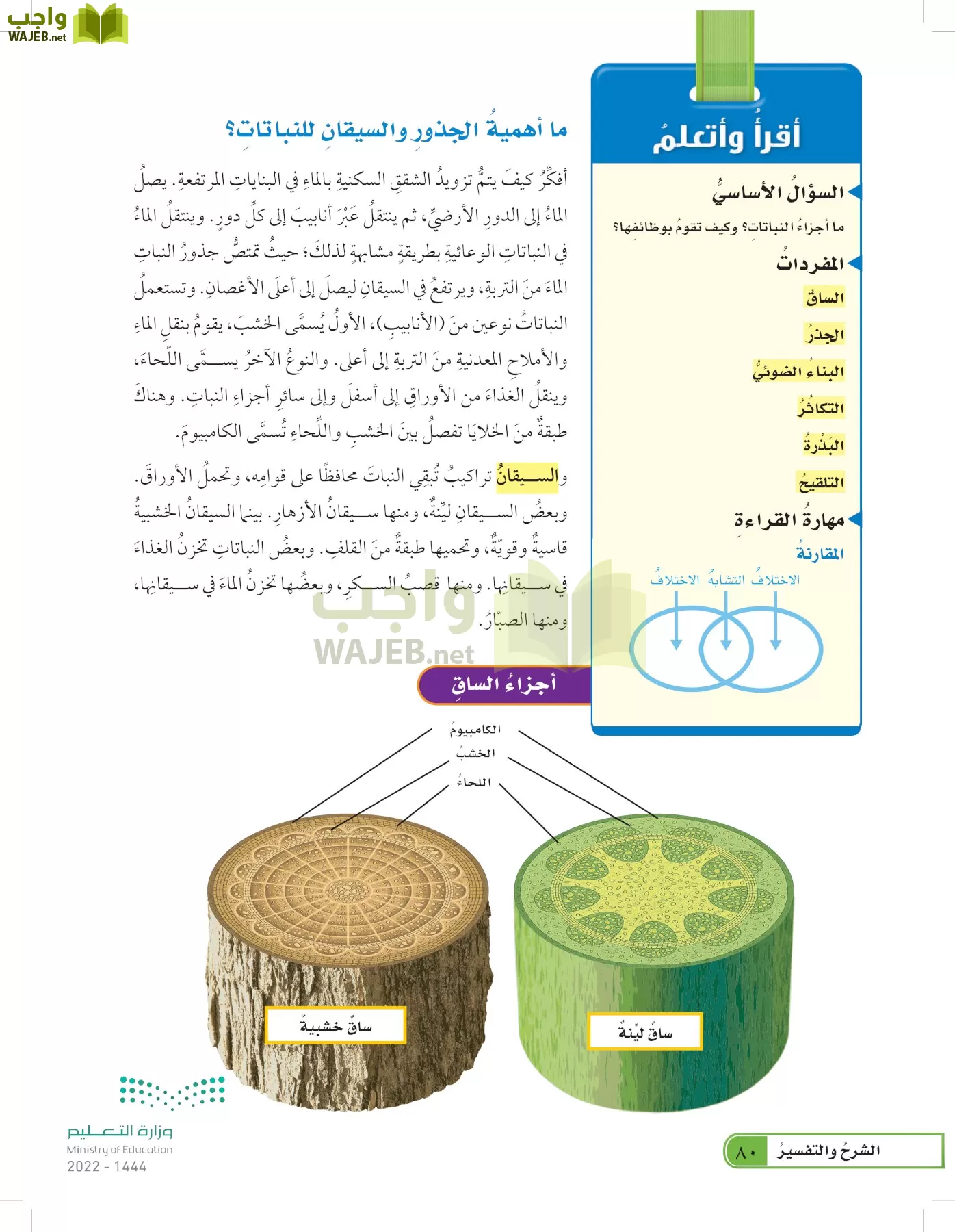 العلوم page-79