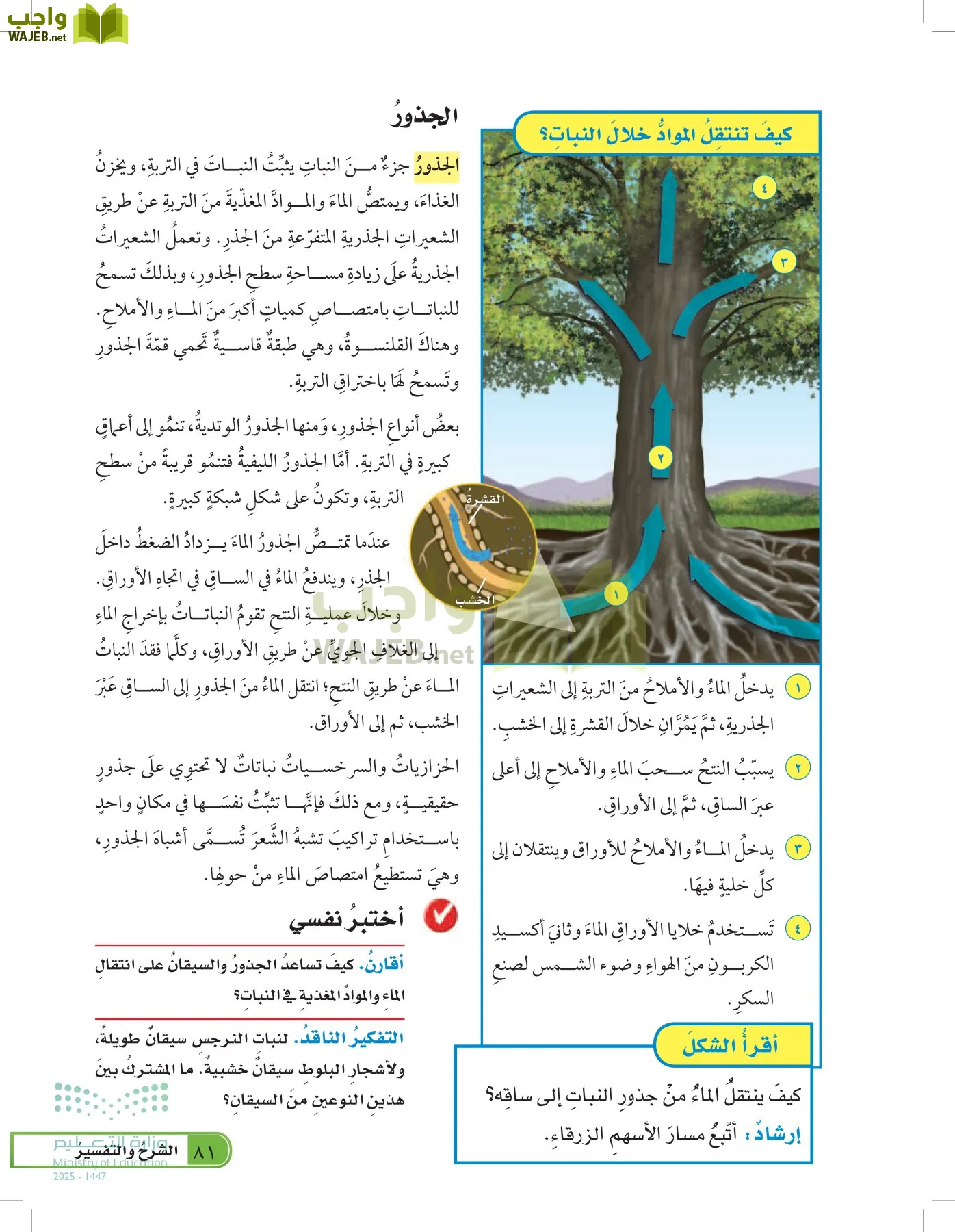 العلوم page-80
