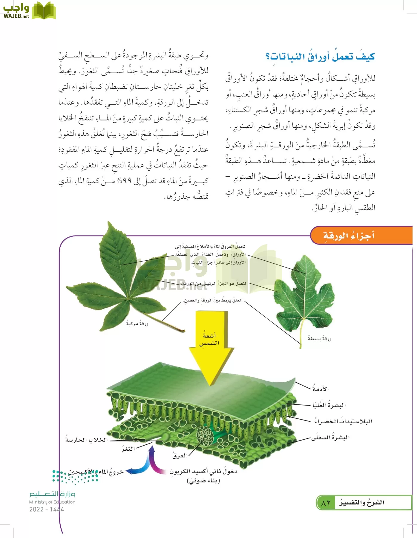 العلوم page-81