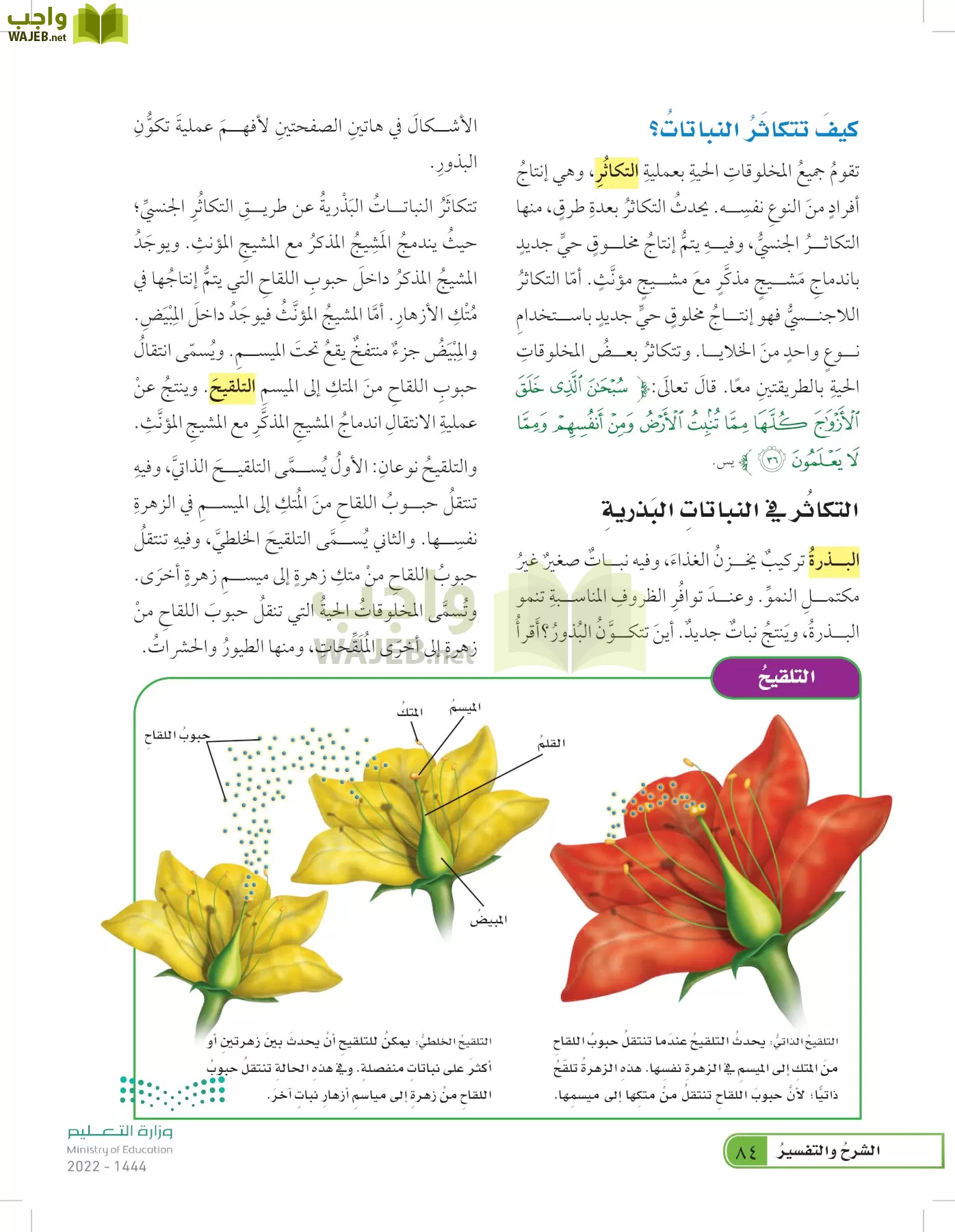 العلوم page-83