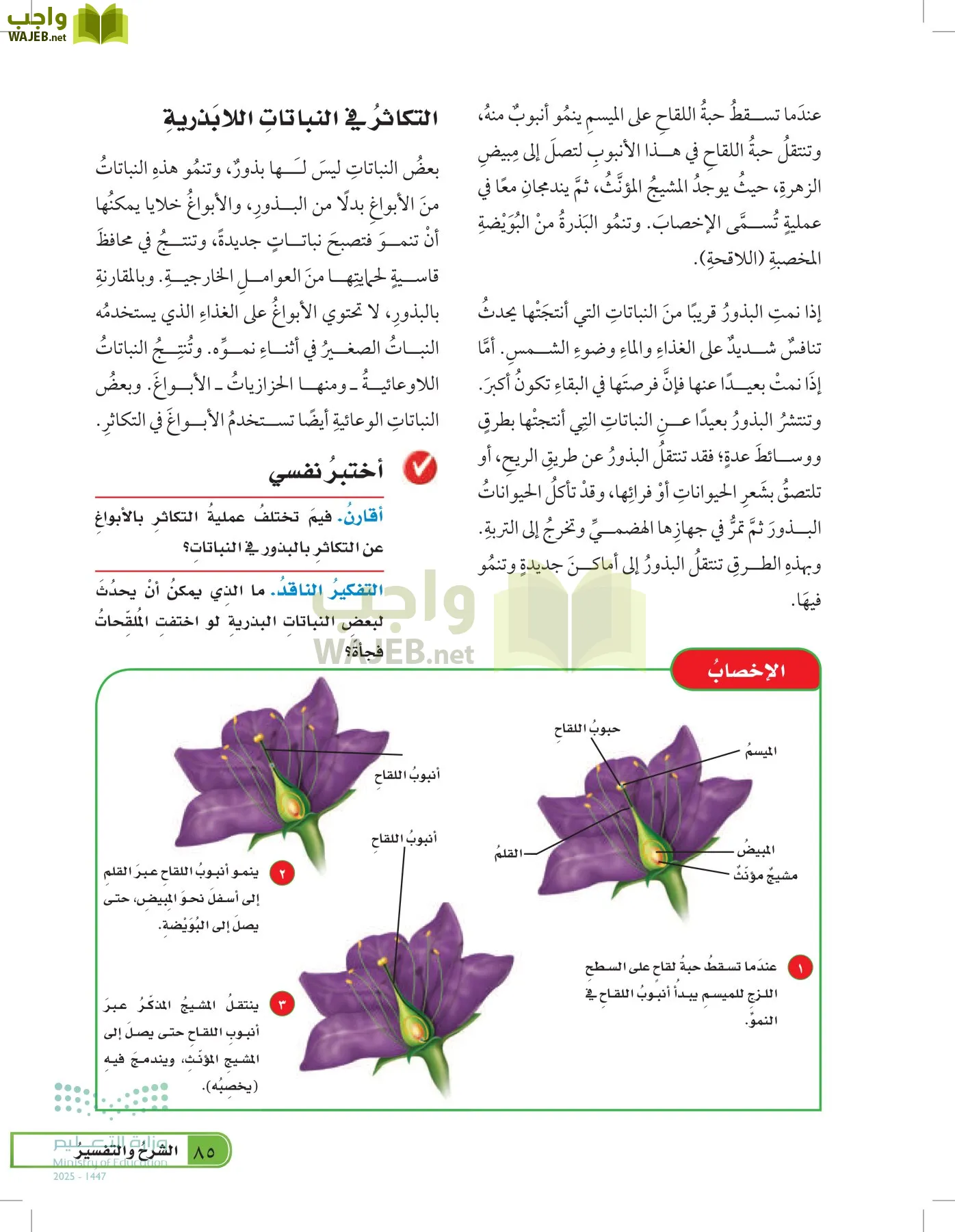 العلوم page-84