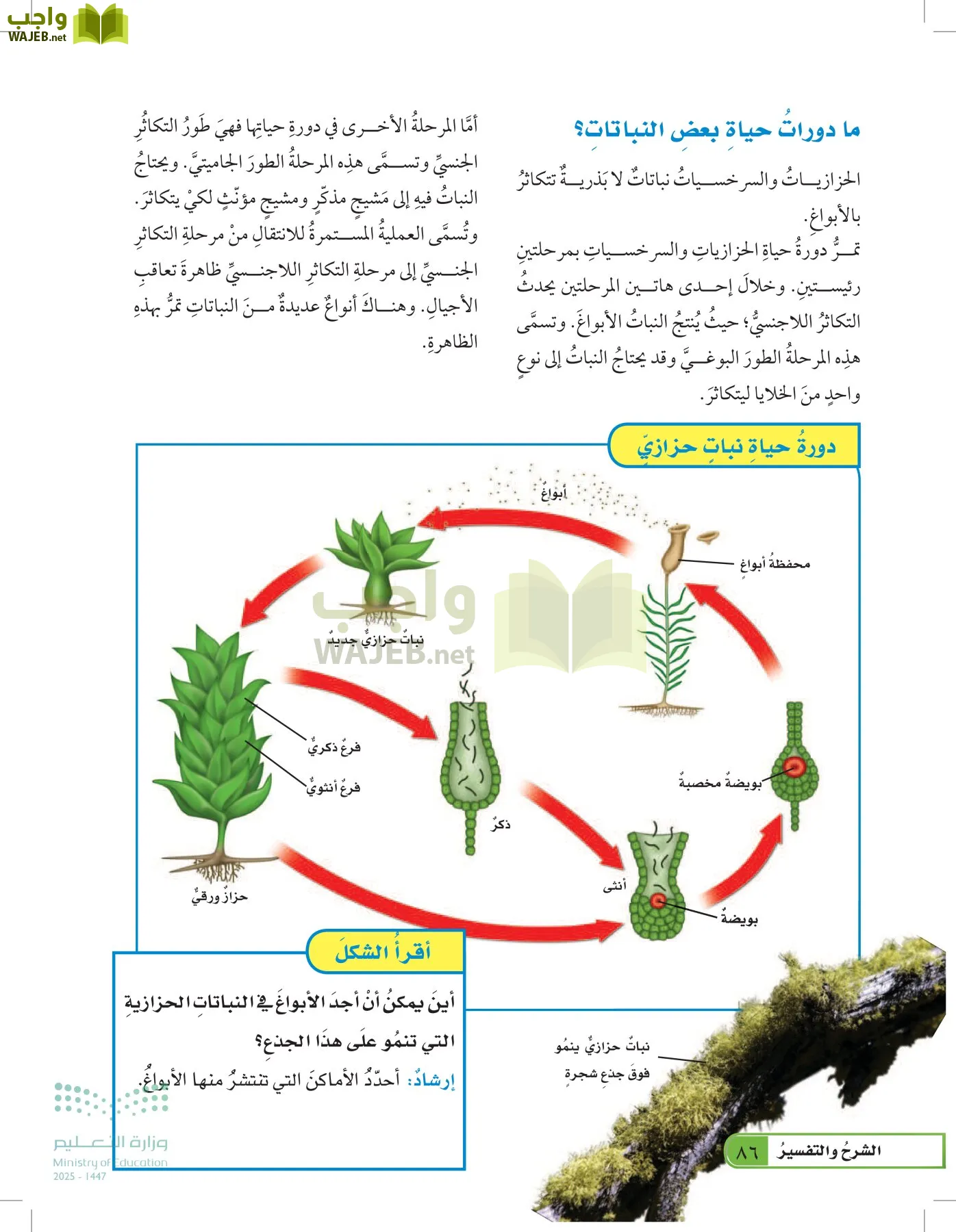 العلوم page-85