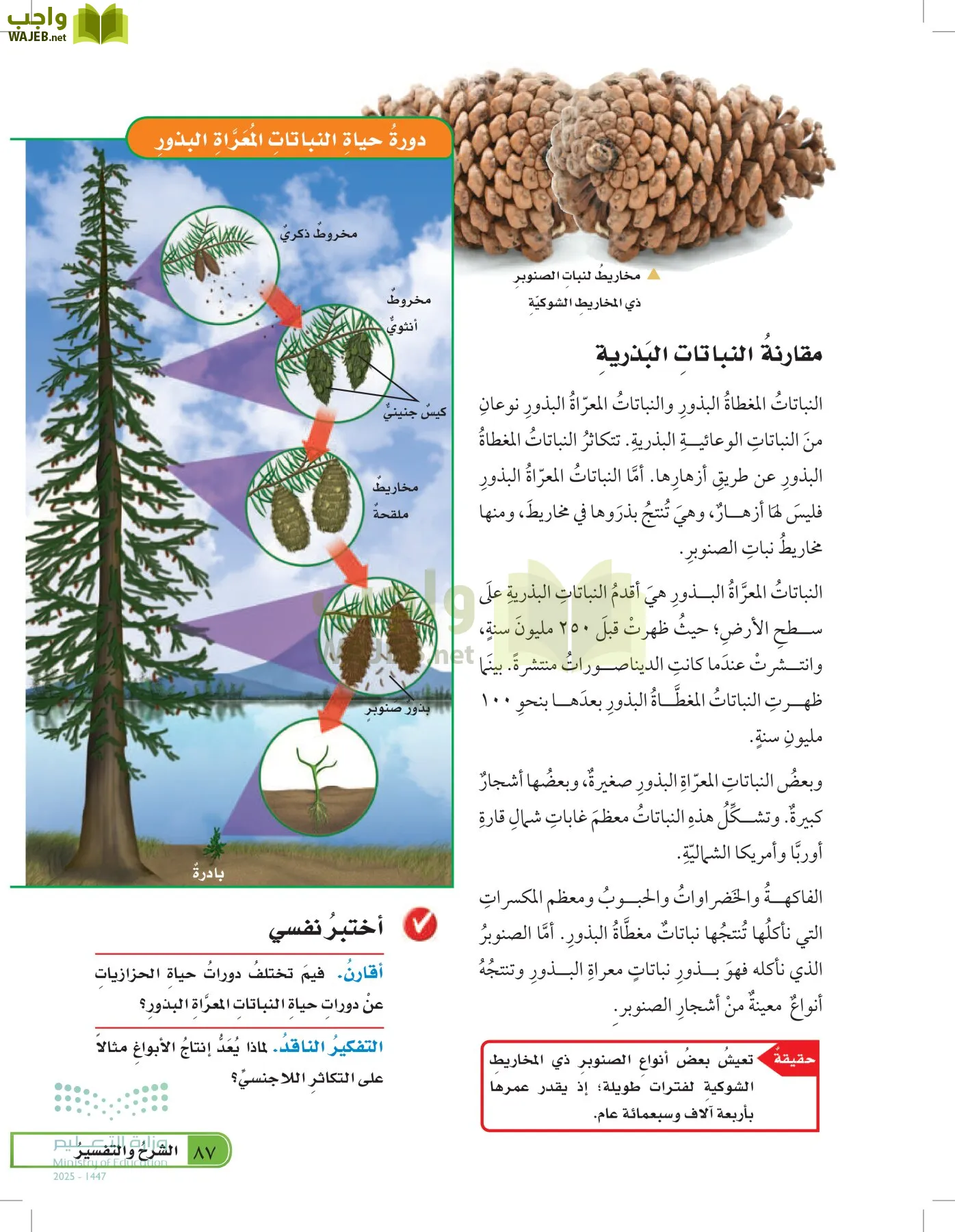 العلوم page-86