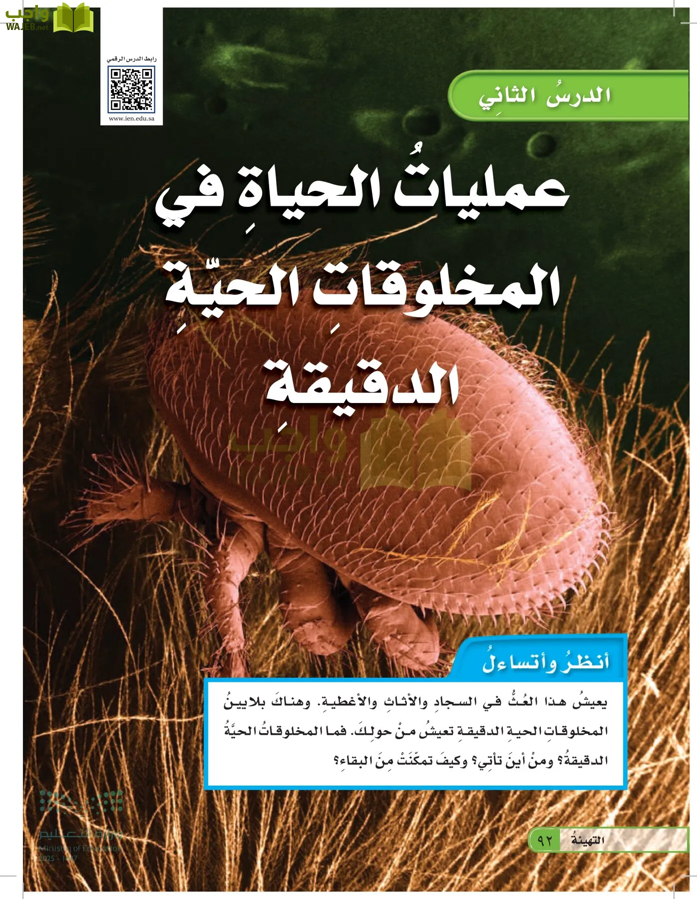 العلوم page-91