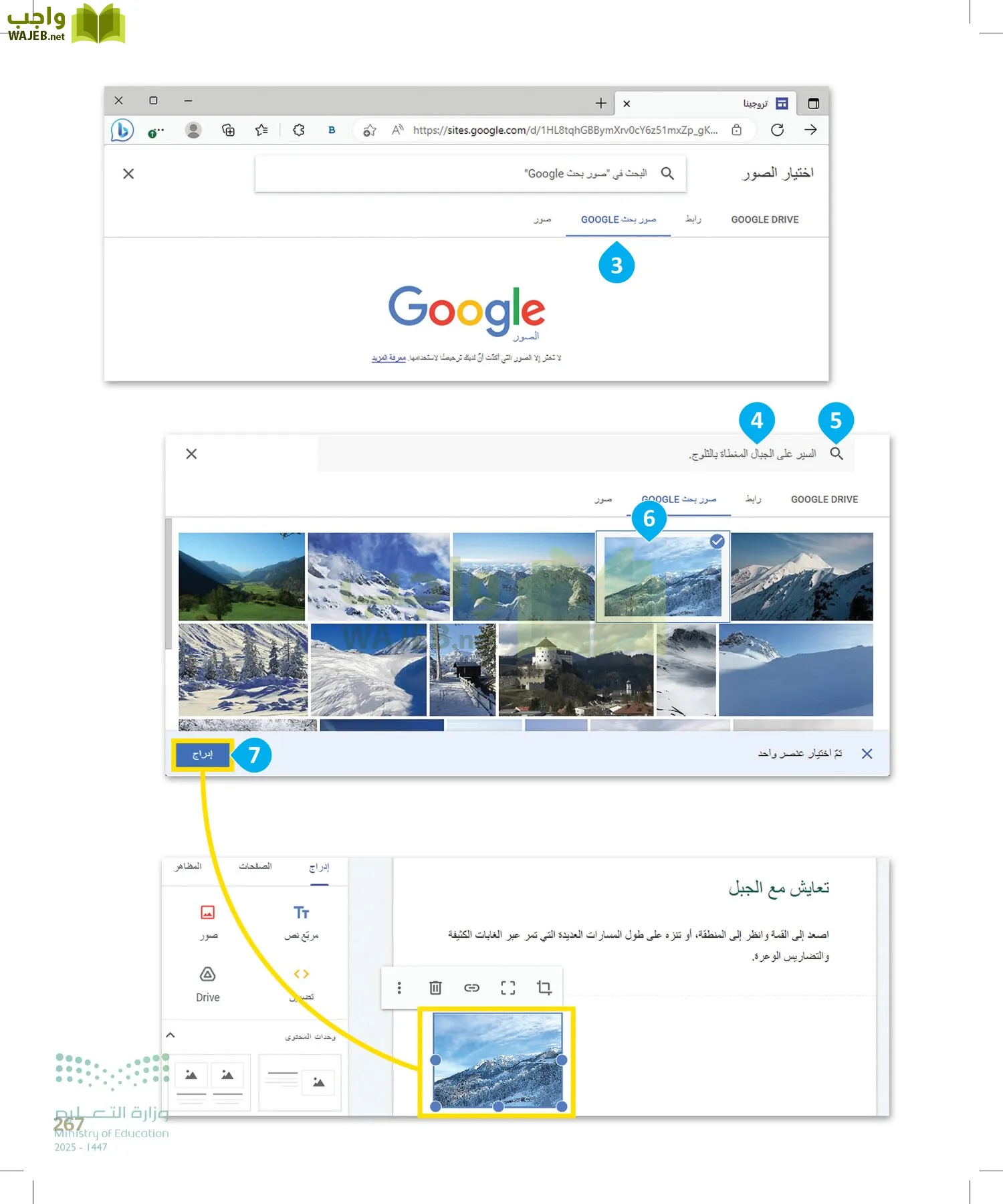 المهارات الرقمية page-266