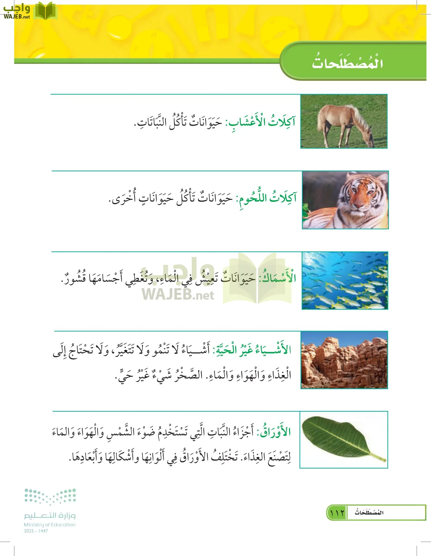 العلوم page-111