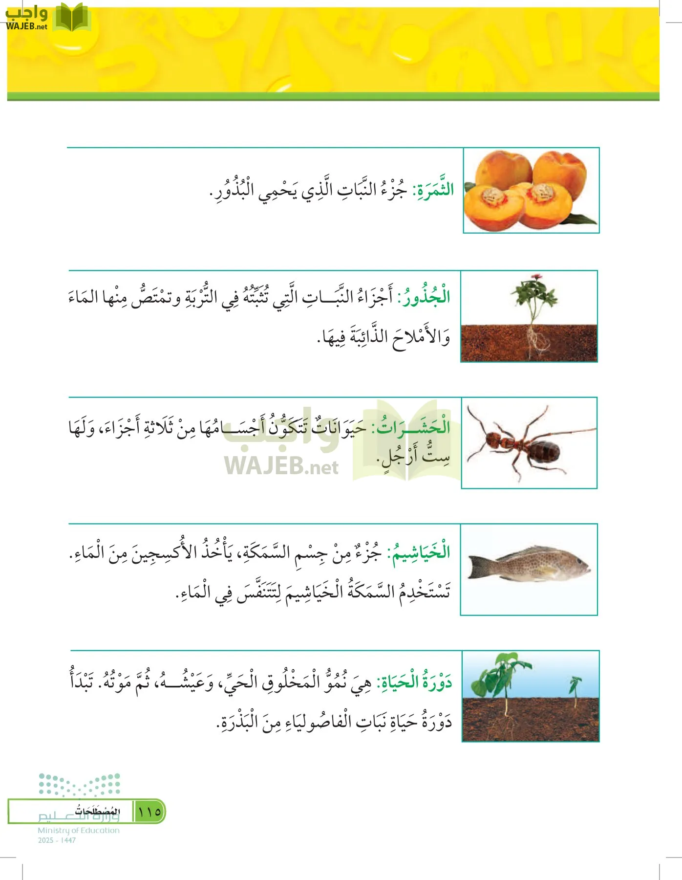 العلوم page-114