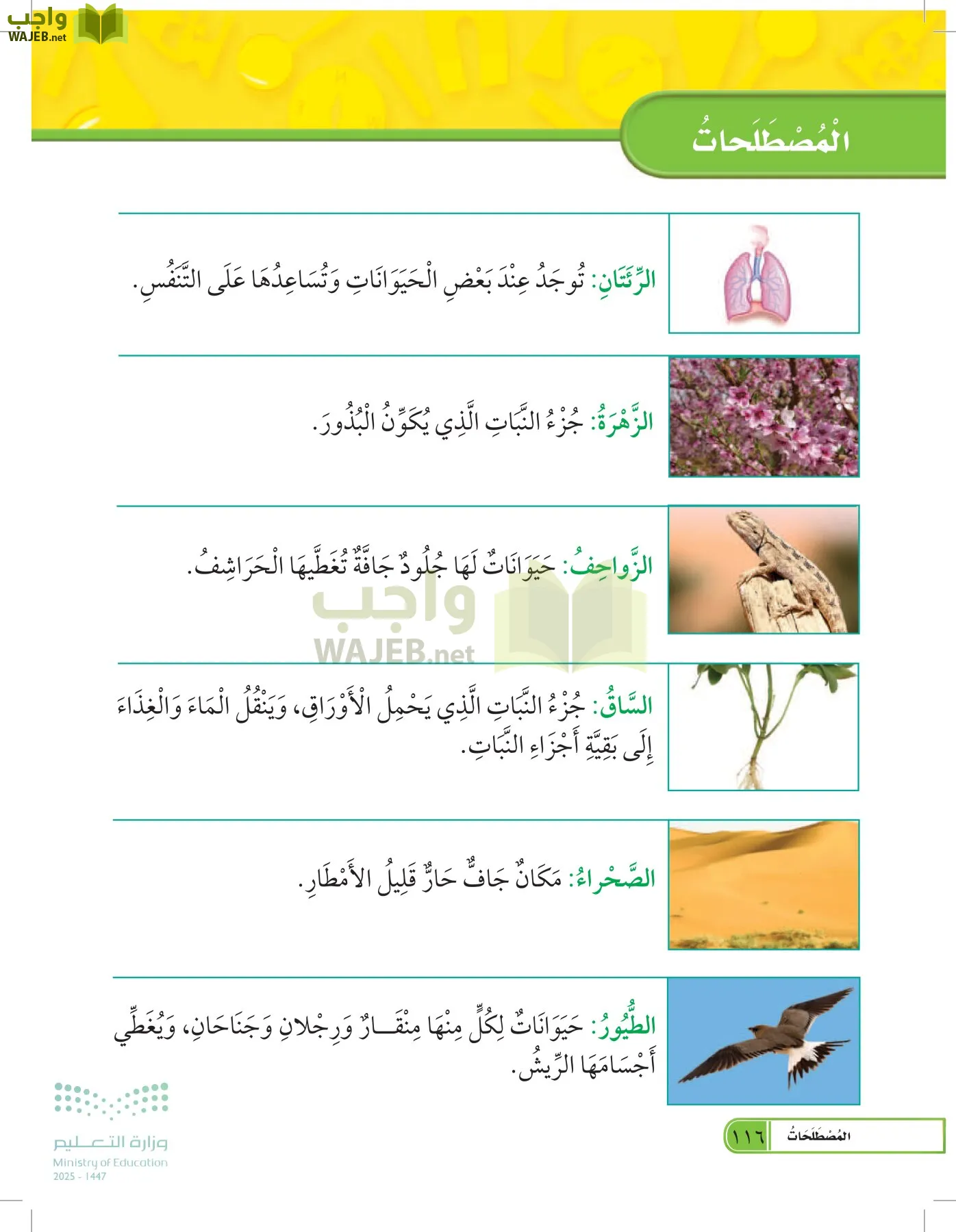 العلوم page-115