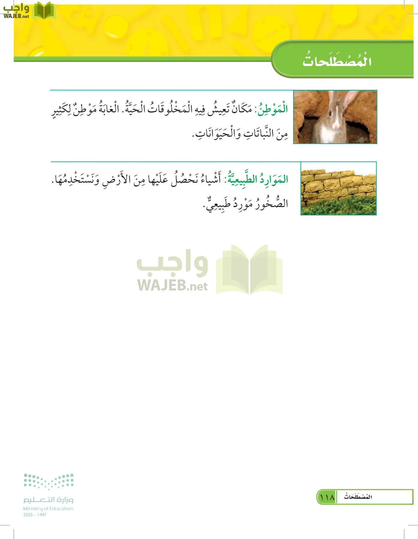 العلوم page-117