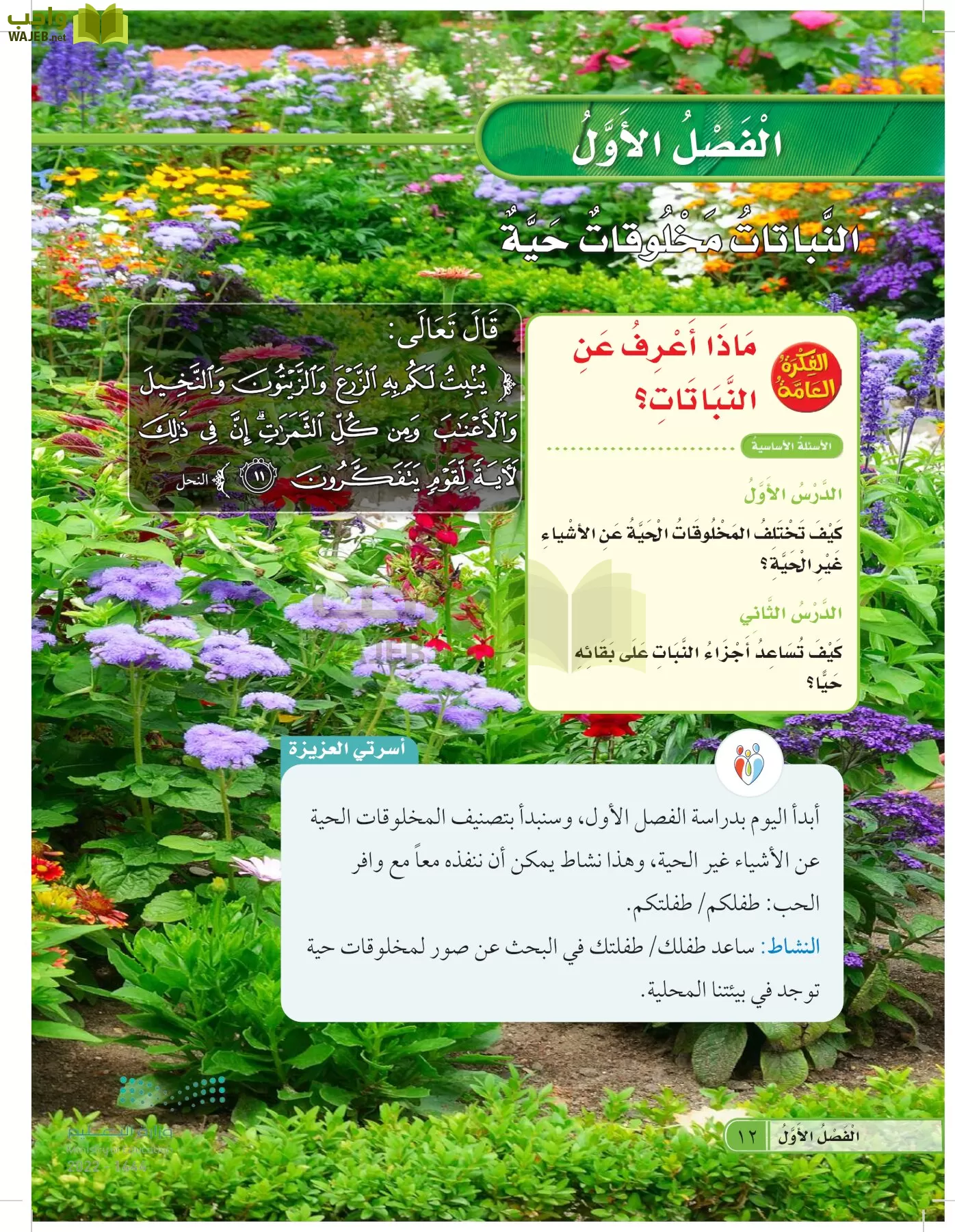 العلوم page-11