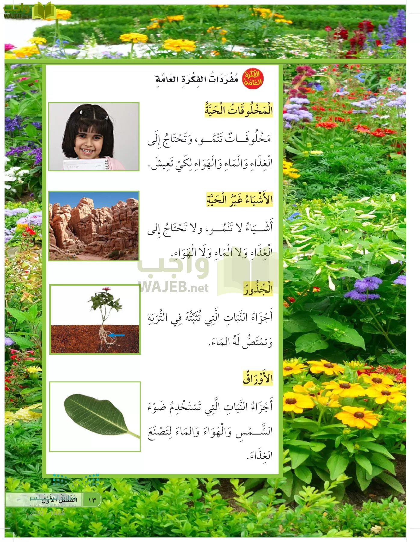 العلوم page-12