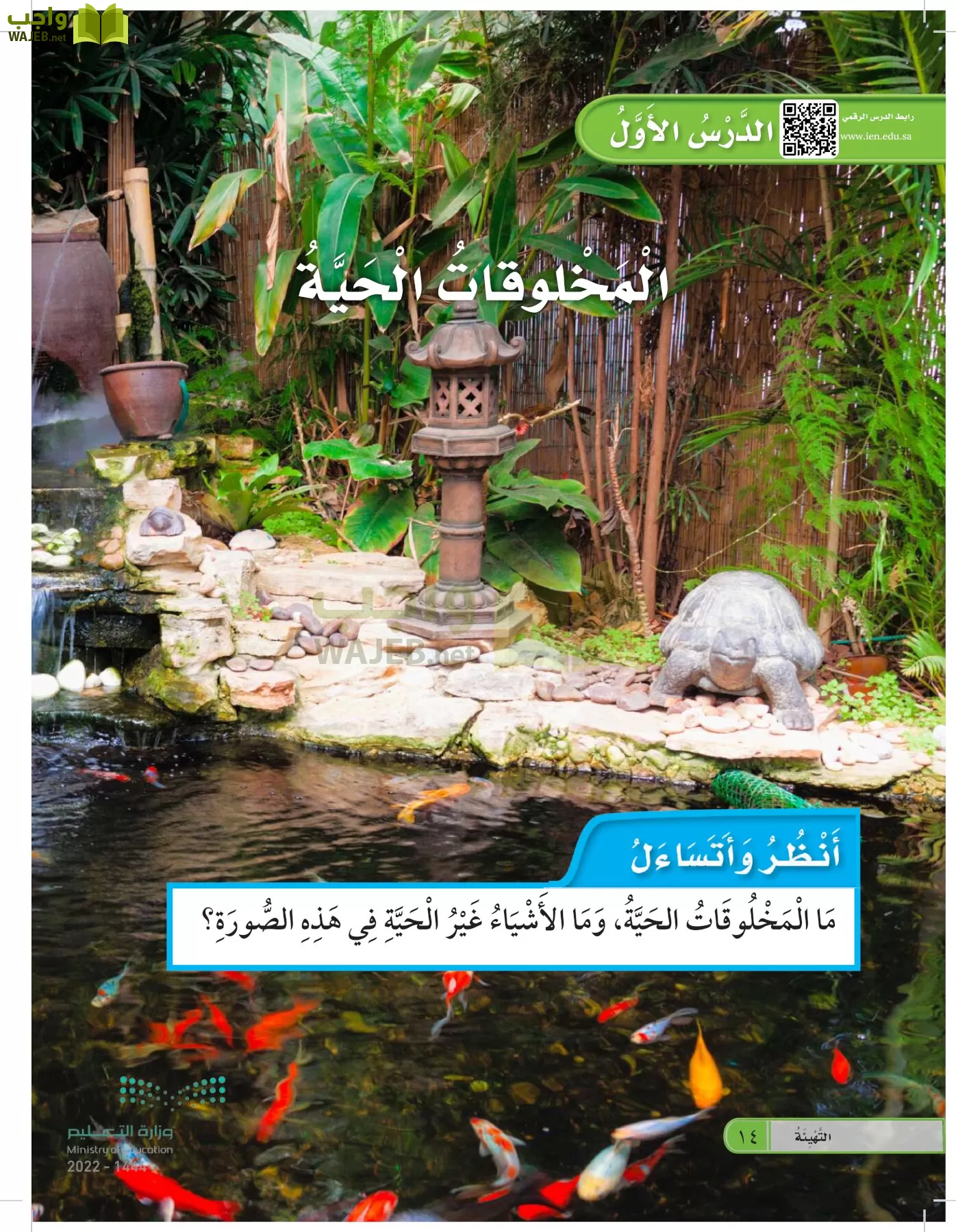العلوم page-13