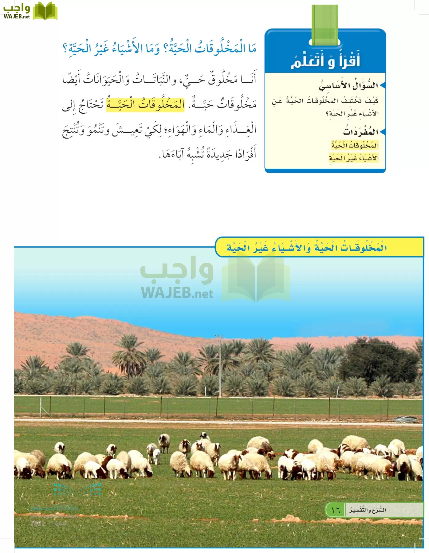 العلوم page-15