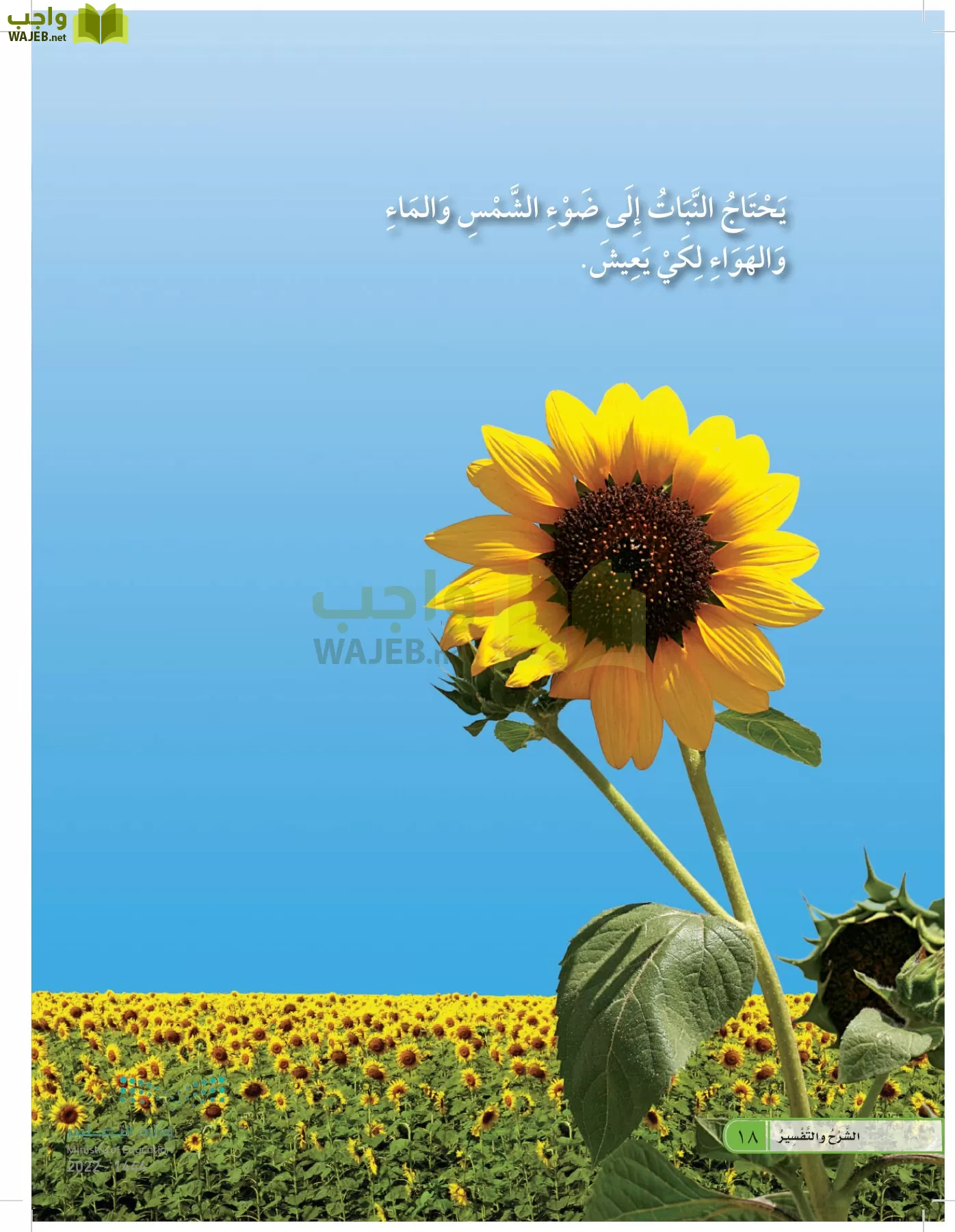 العلوم page-17