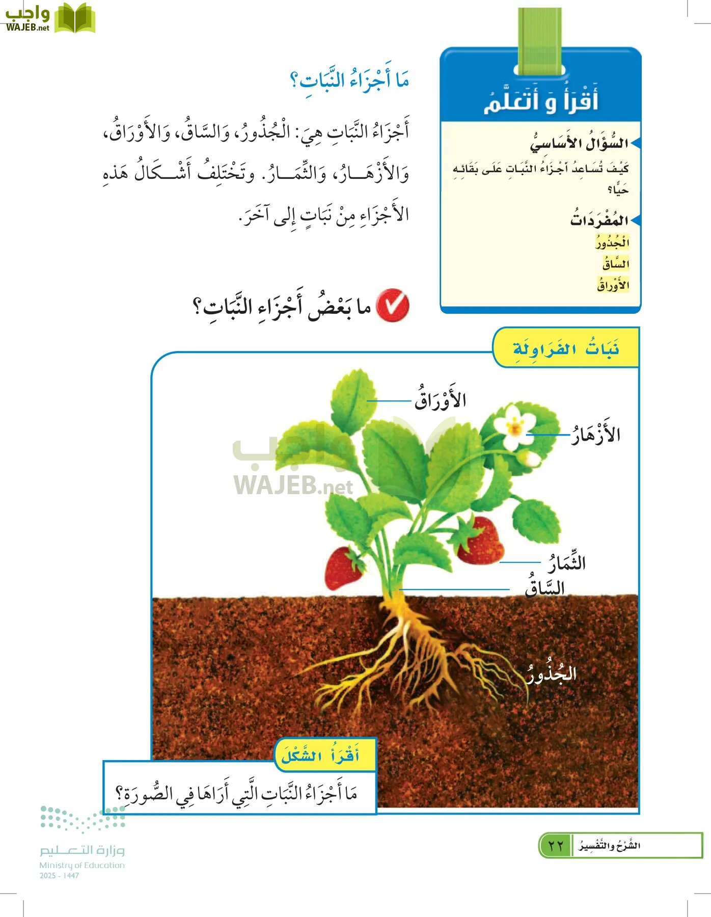 العلوم page-21