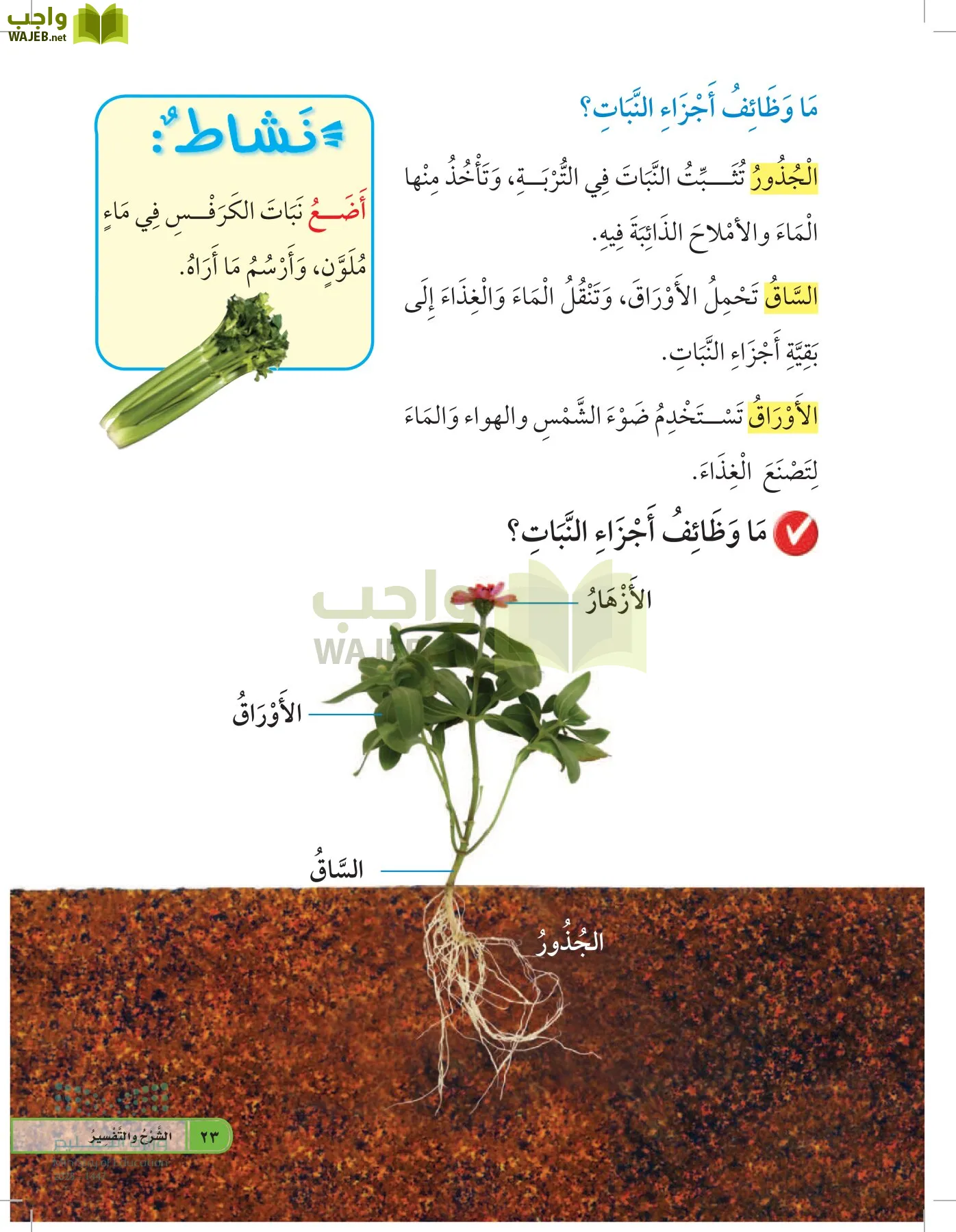 العلوم page-22