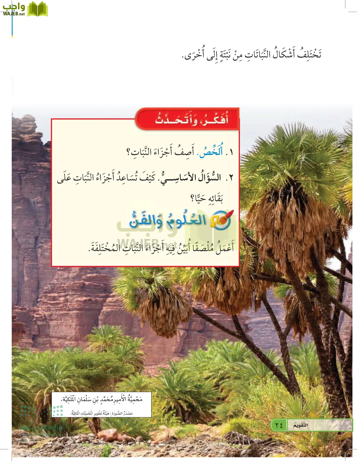 العلوم page-23