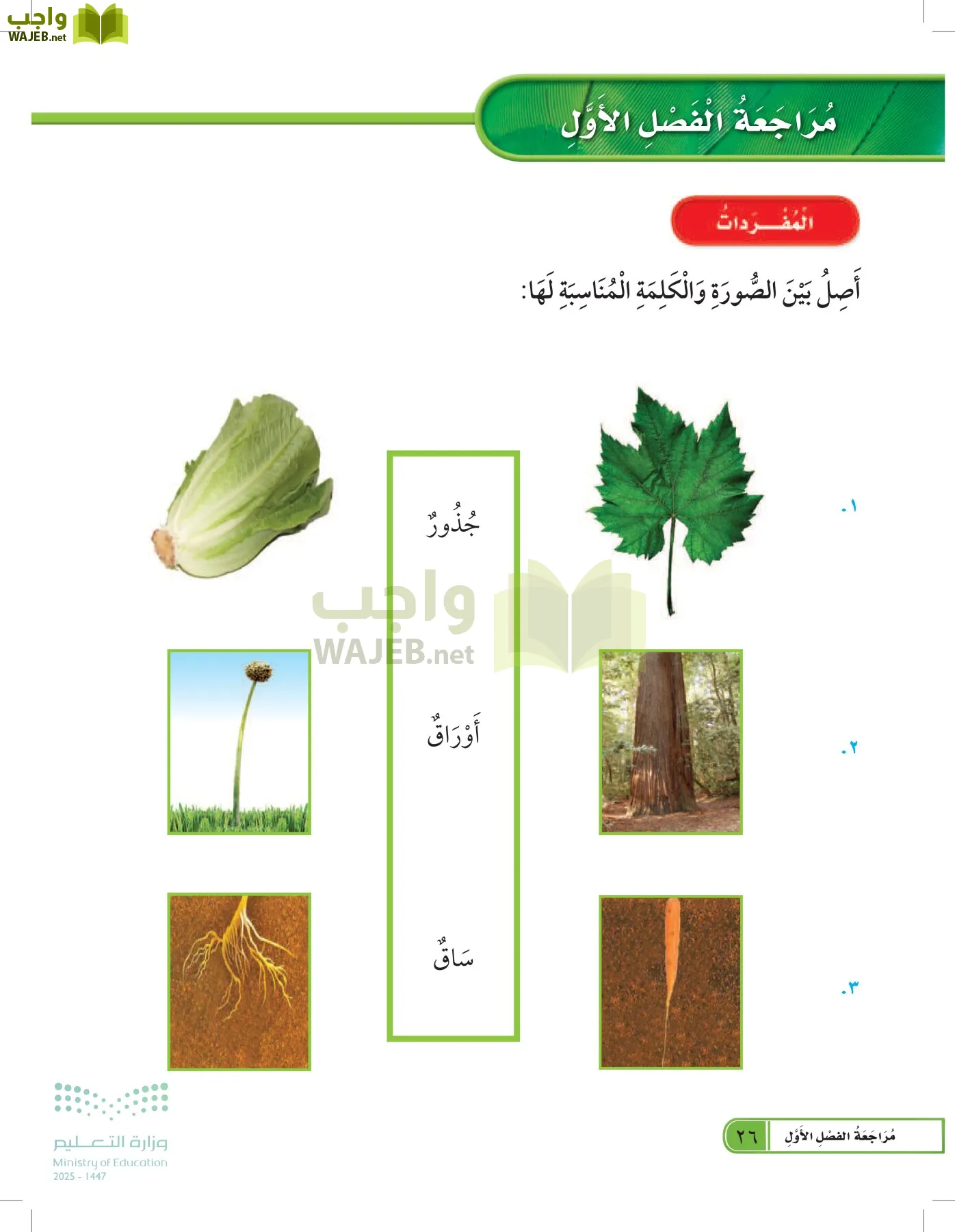 العلوم page-25