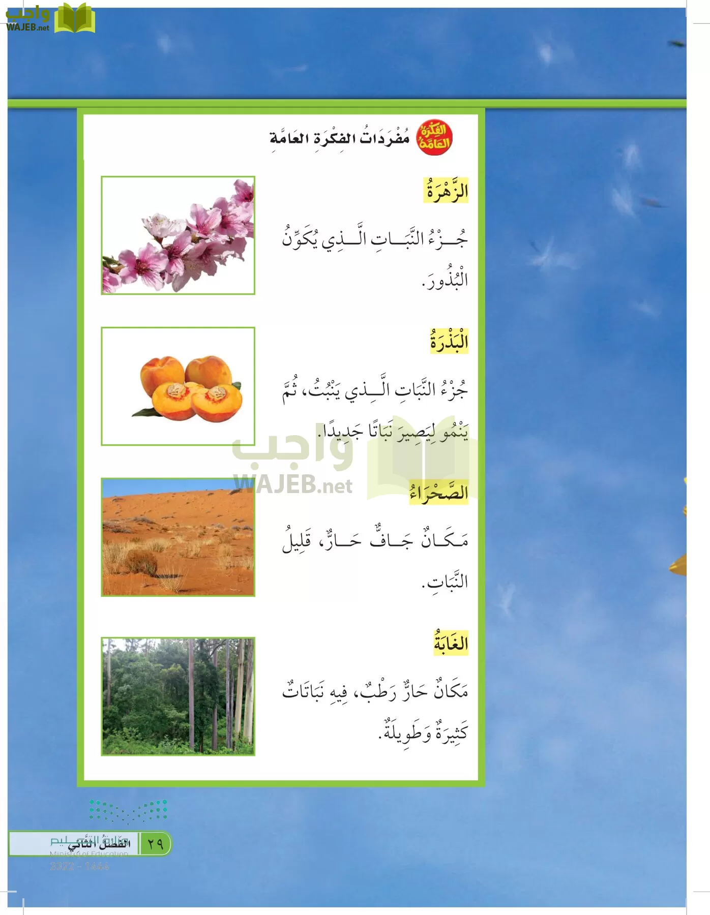 العلوم page-28