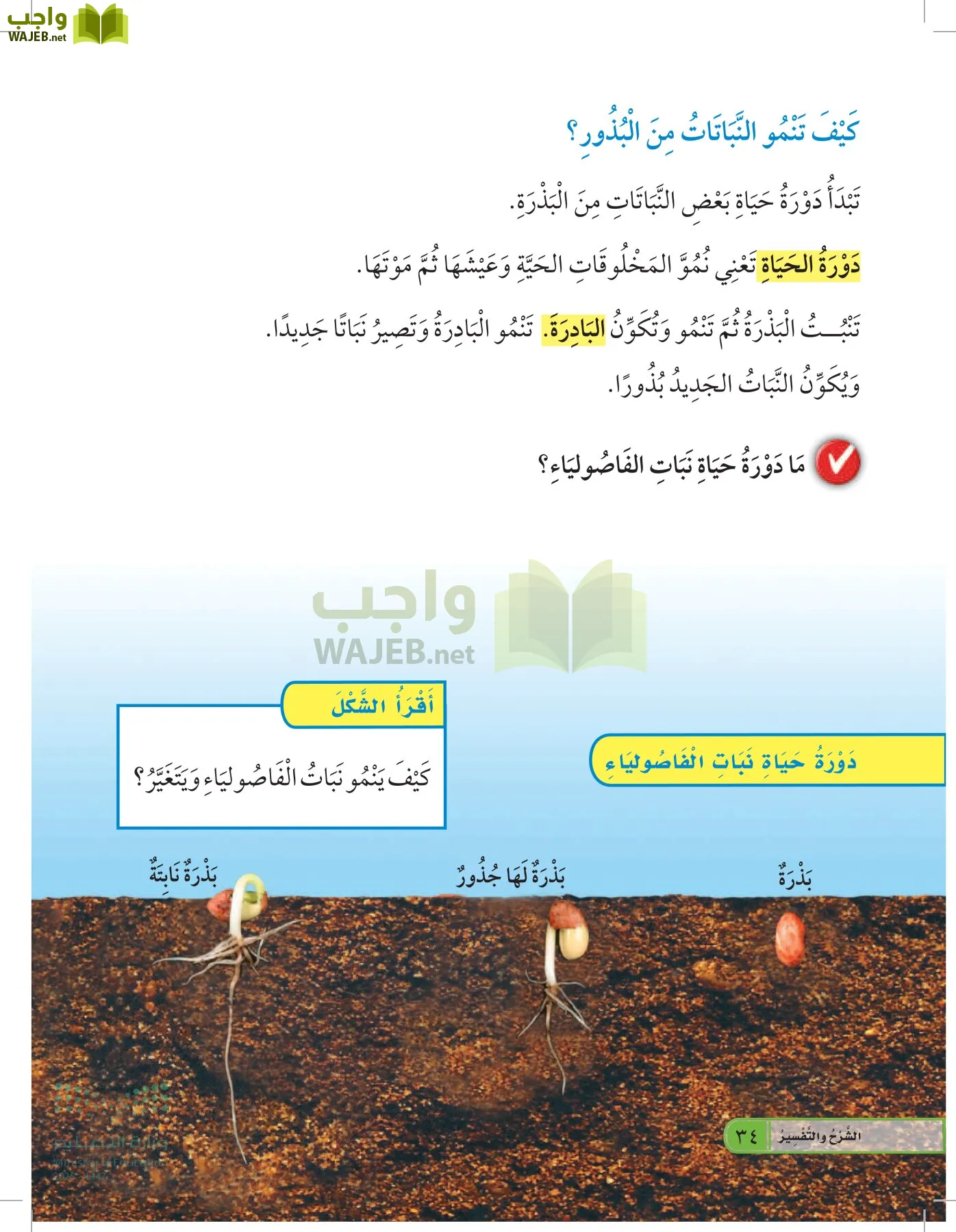العلوم page-33