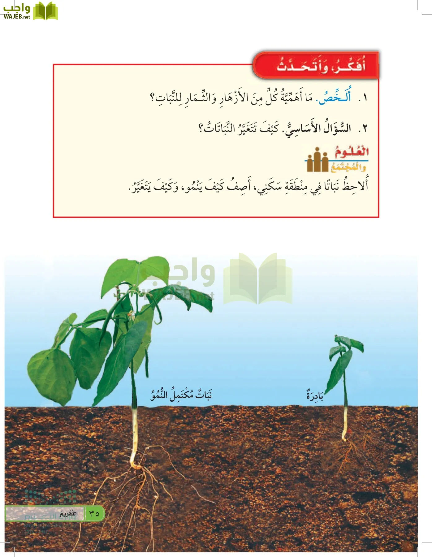 العلوم page-34