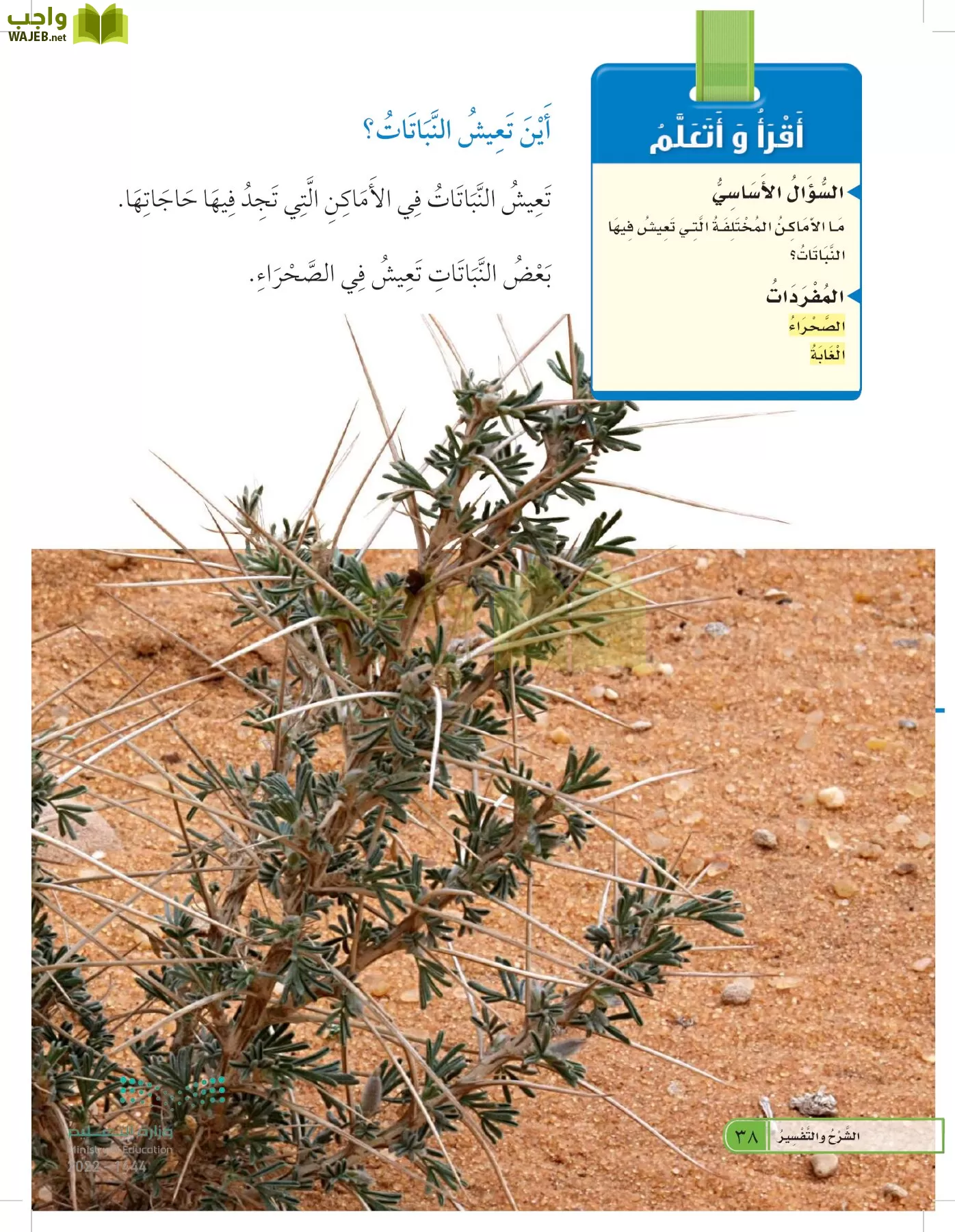 العلوم page-37