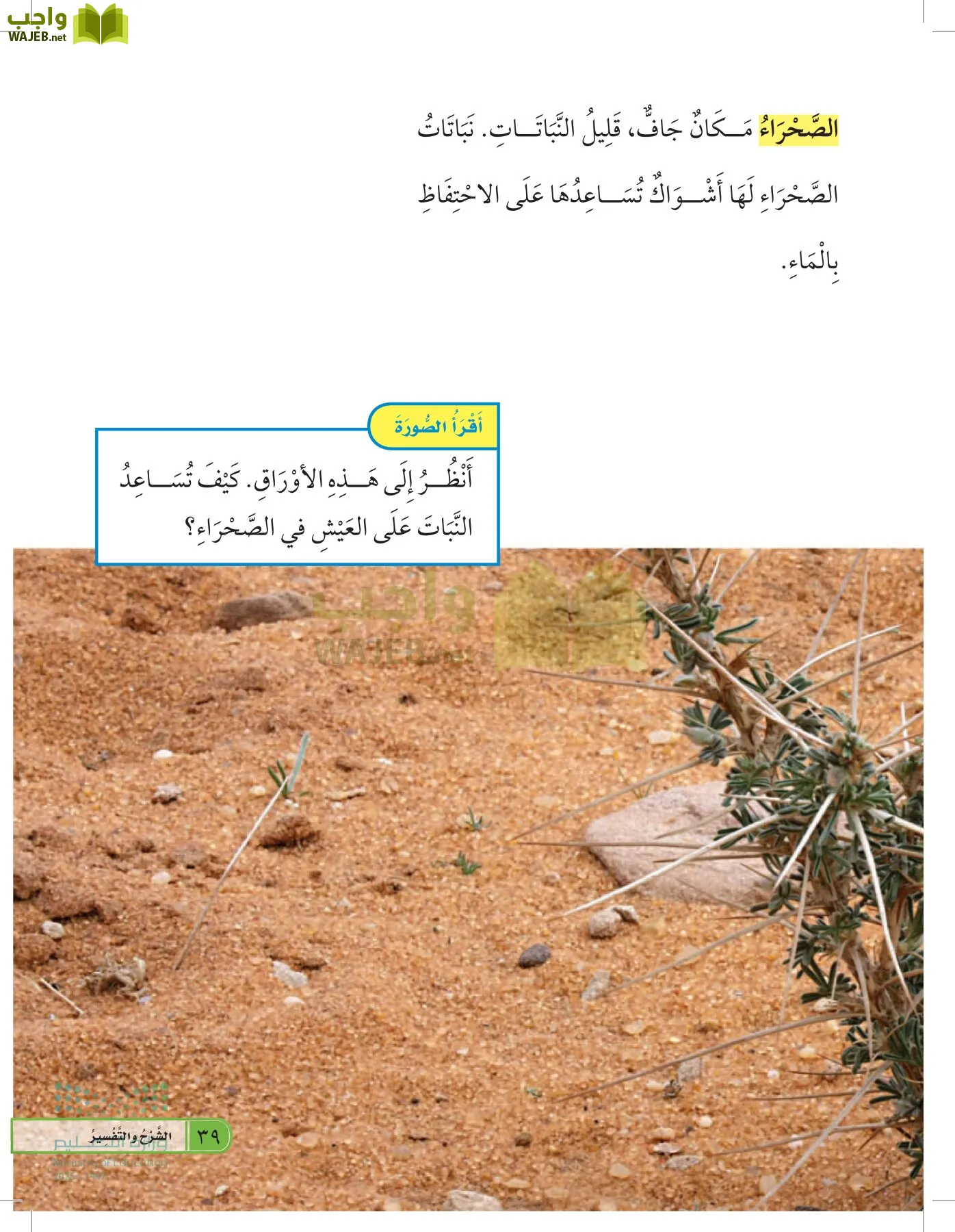 العلوم page-38