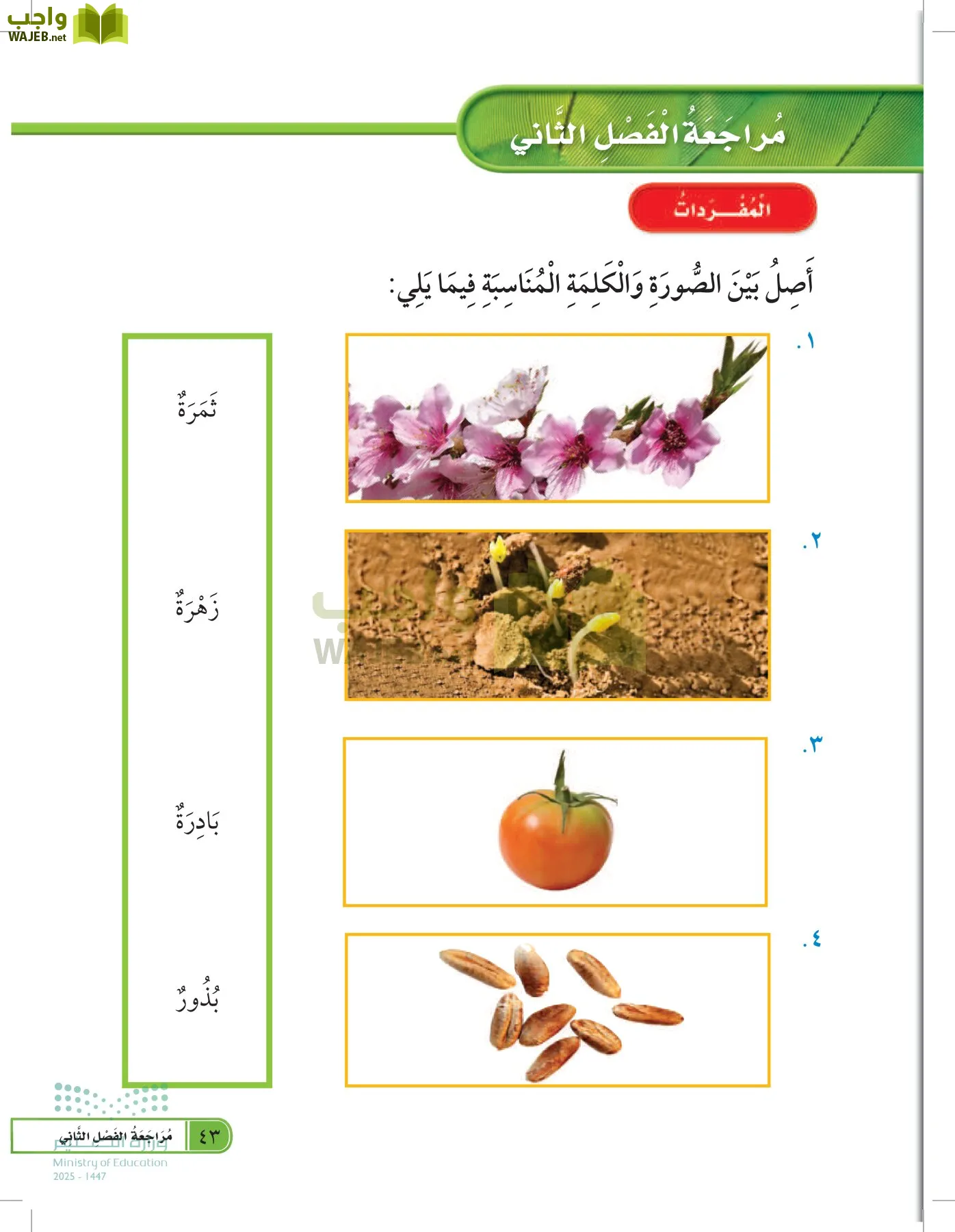 العلوم page-42