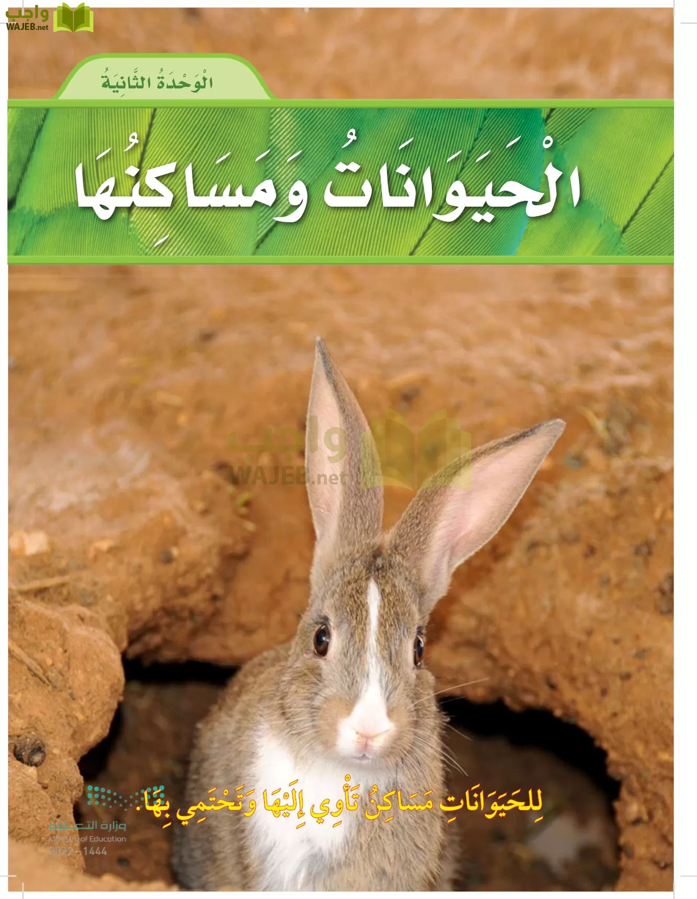 العلوم page-44